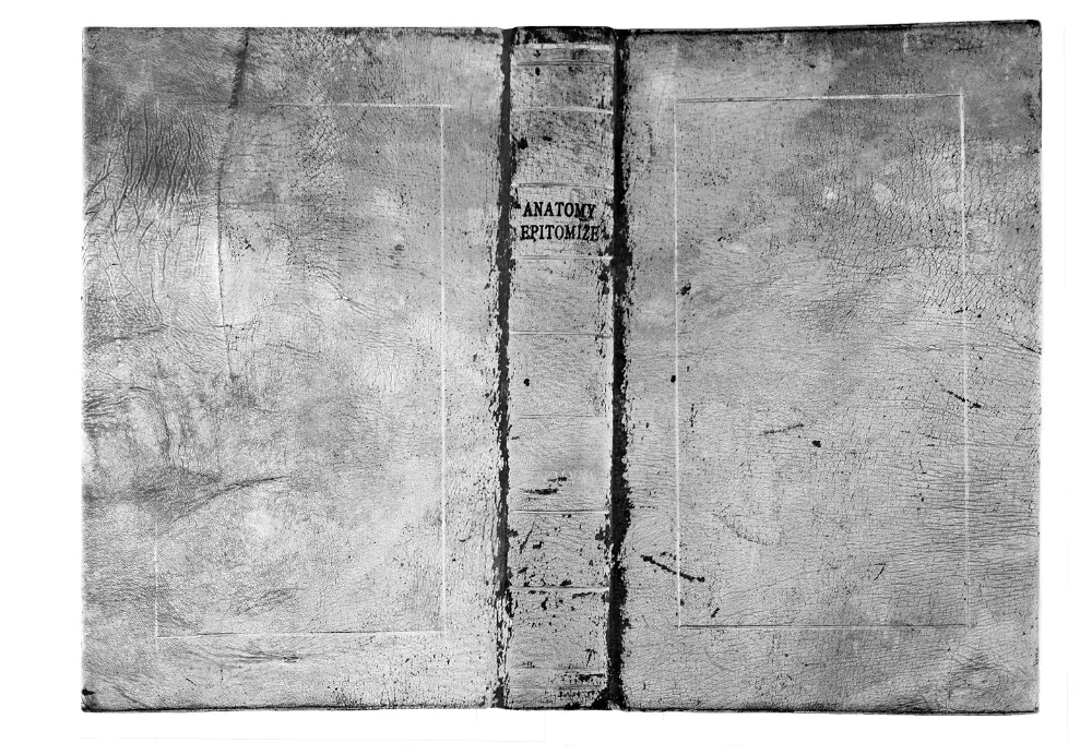  Mary Beth Heffernan, Bound Volume, Platinum Palladium Print, 13"w x 9"w.
