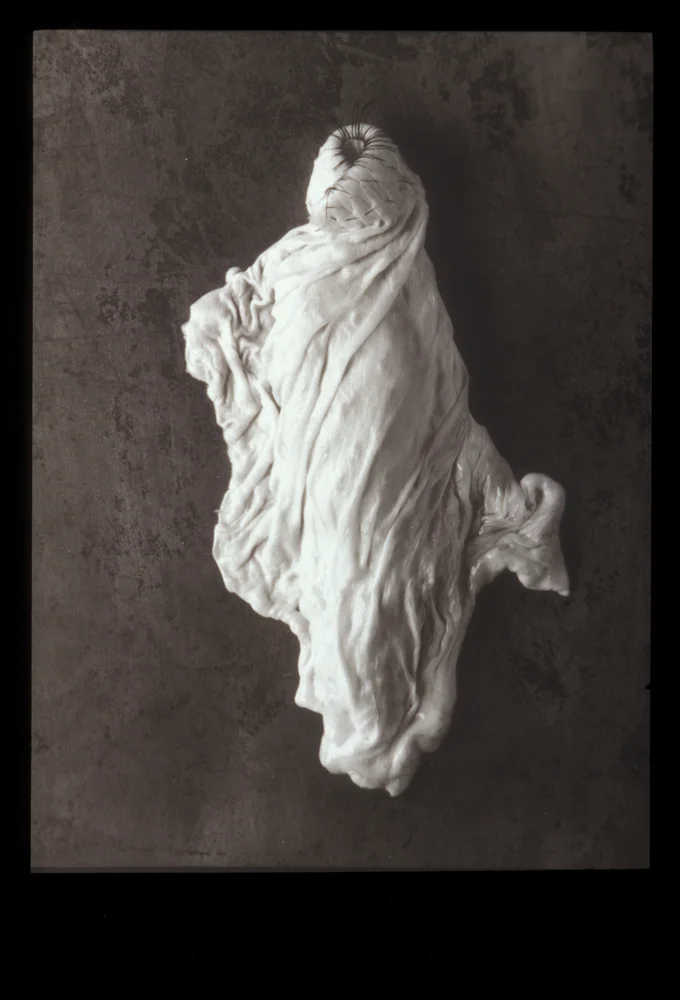 Mary Beth Heffernan, Replete, 1995-96. Gelatin Silver Print, poultry meat and skin and the artist's hair. 20" w x 24" h.