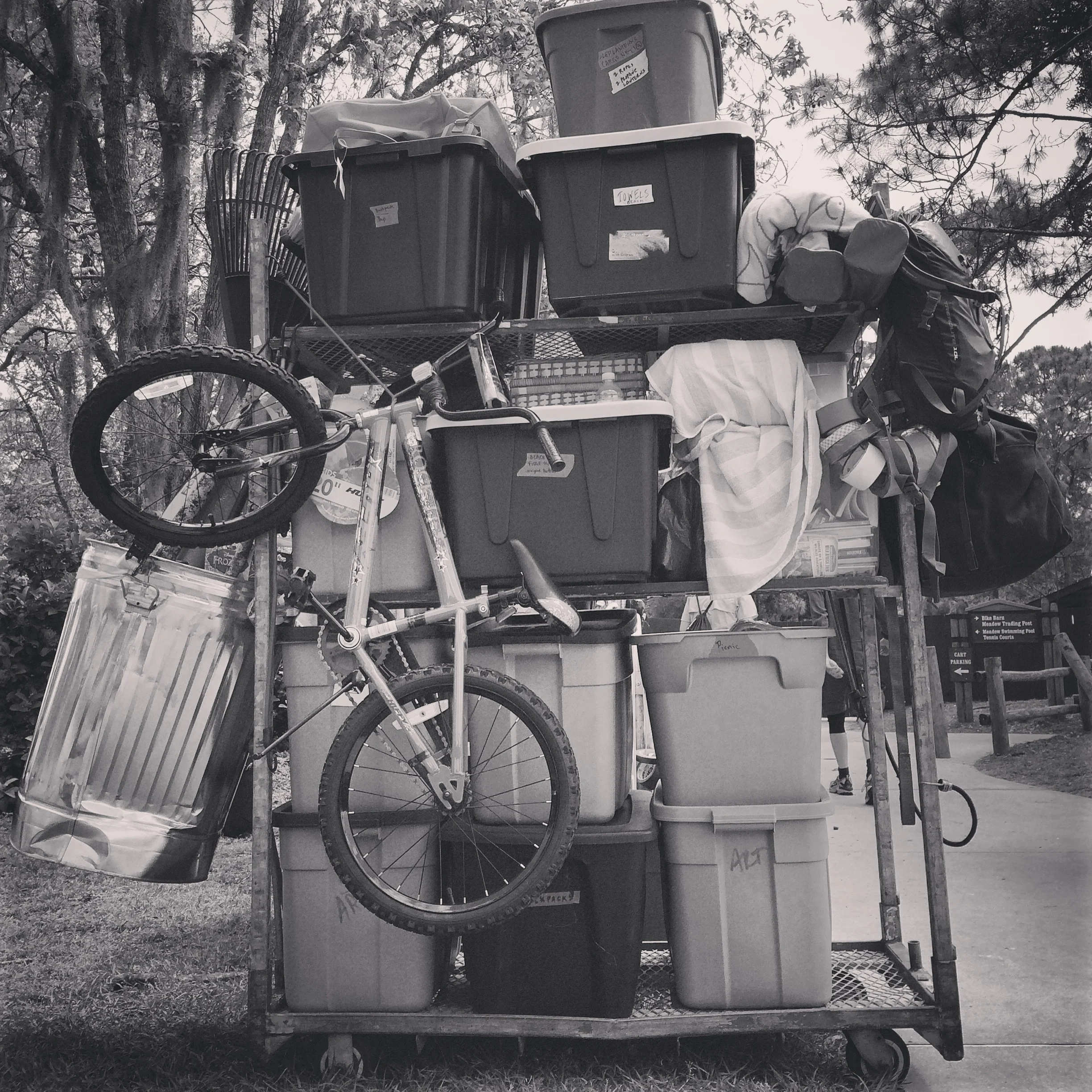 Art cart b&w edited.JPG