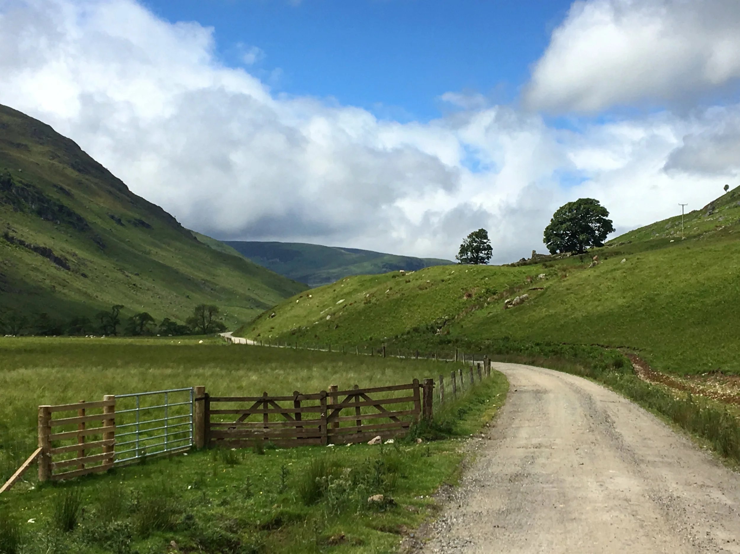 The Sma' Glen in Perthshire. One of my favourite walks as a child when visiting my Grandparents.