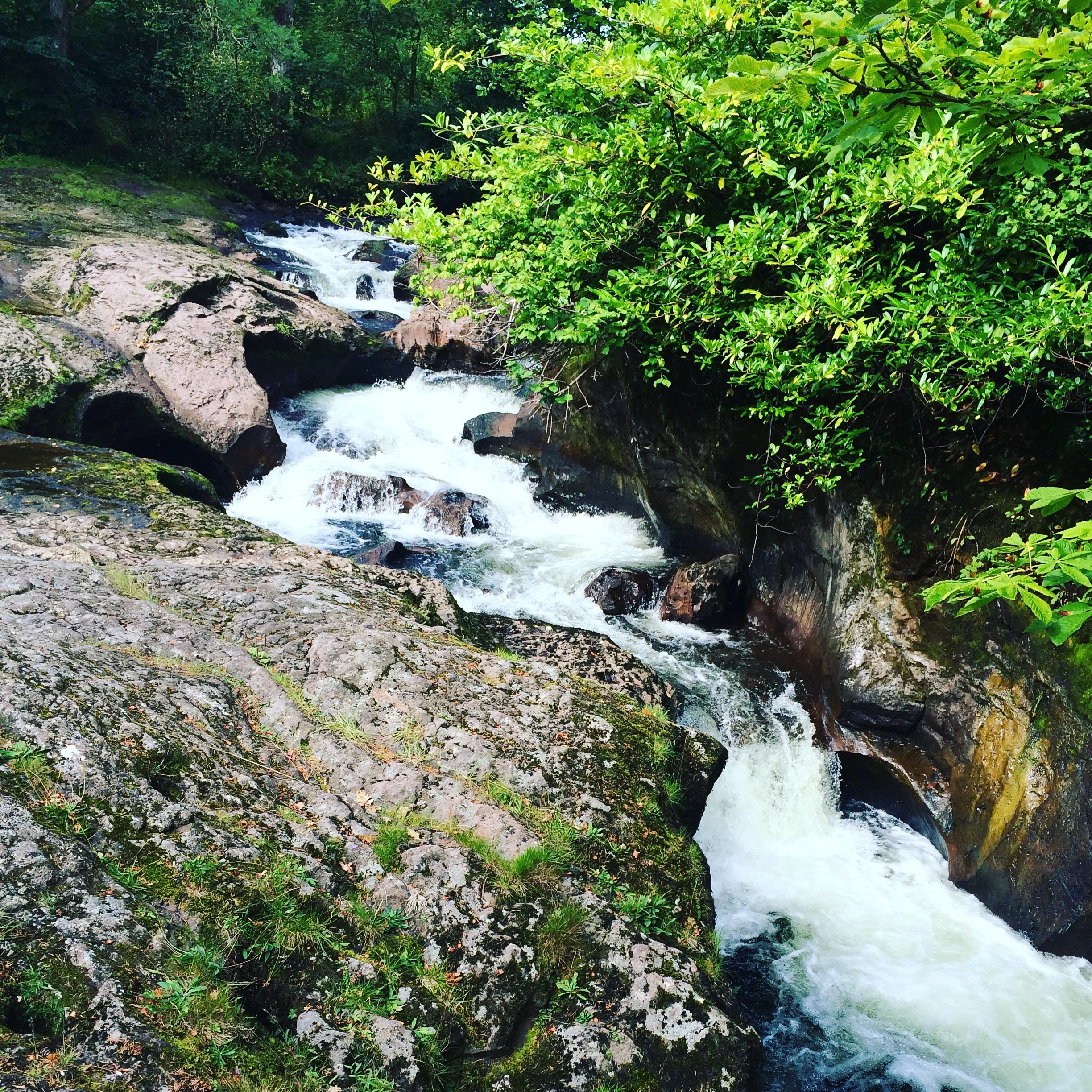 Buchanty Spout, a hidden waterfall in highland Perthshire. My siblings and I used to jump on the rocks and watch the salmon jump.