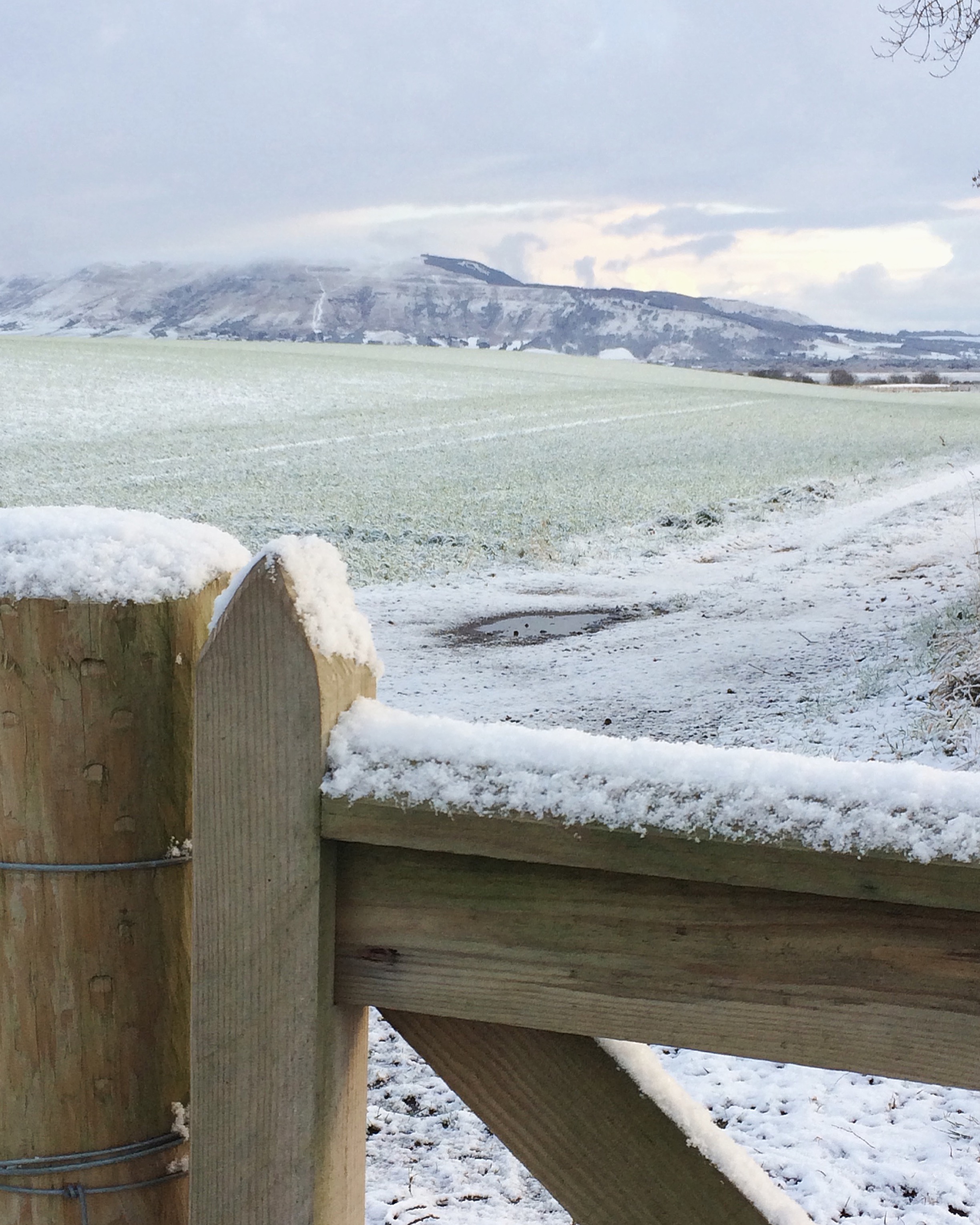The path down to the Loch behind our steading.