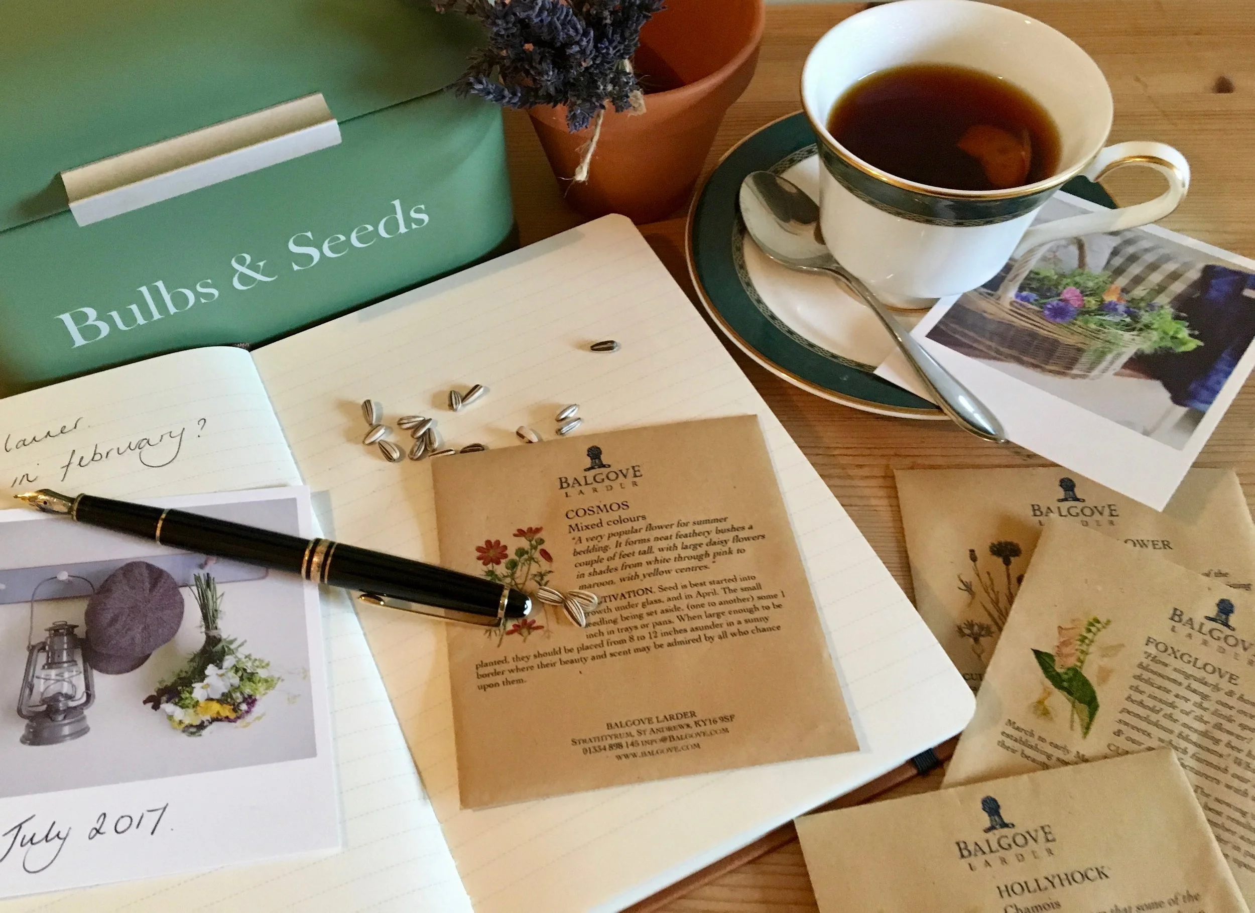 Choosing seeds and making plans for the garden whilst drinking tea in a china cup.