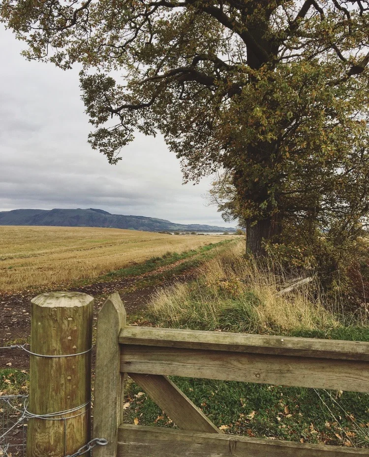 The much photographed path down to the Heritage Trail.