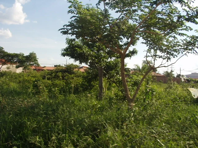 p1010191.jpg
