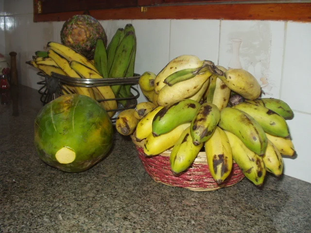 p1010184.jpg