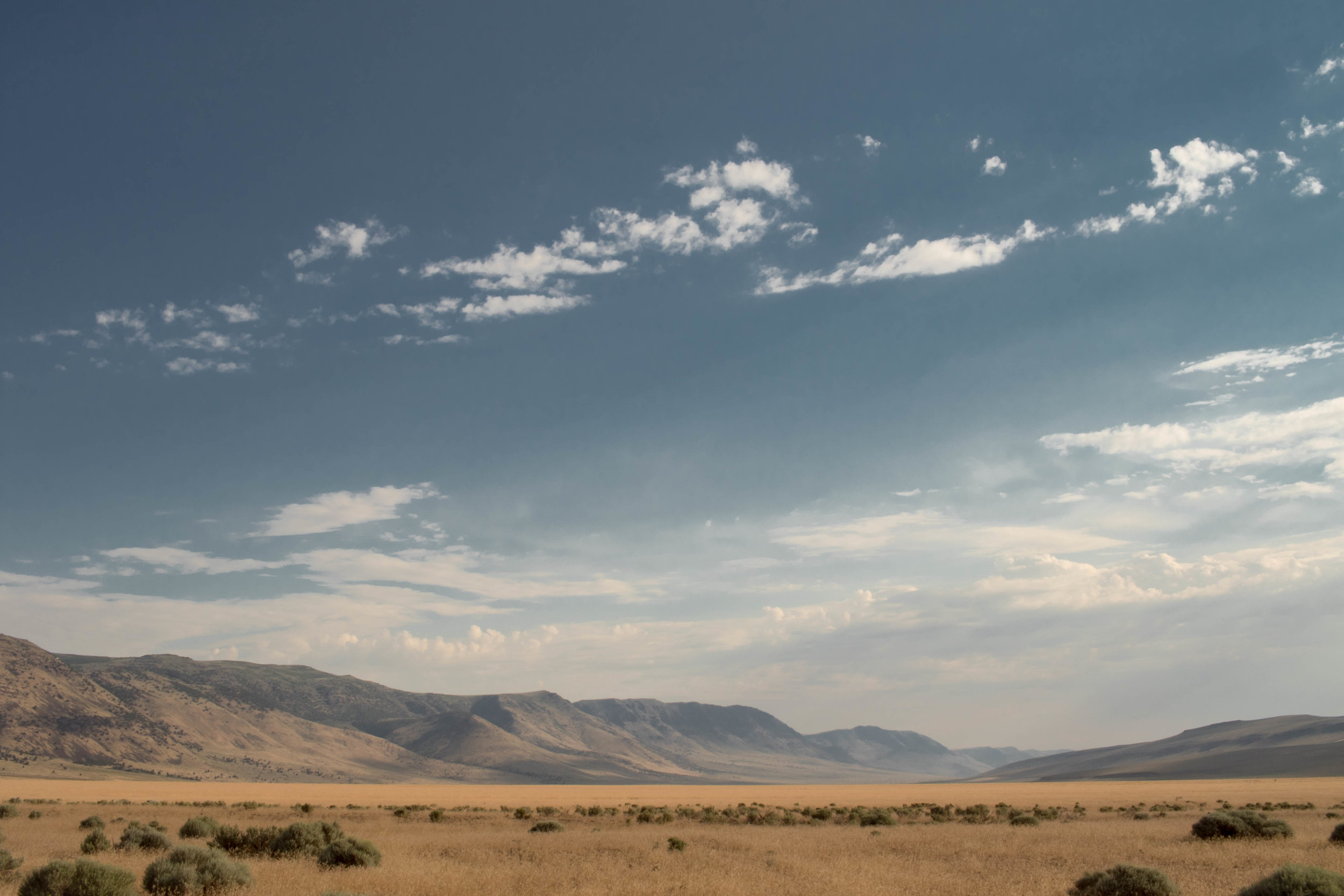  2017 / Fields, OR  [digital] 