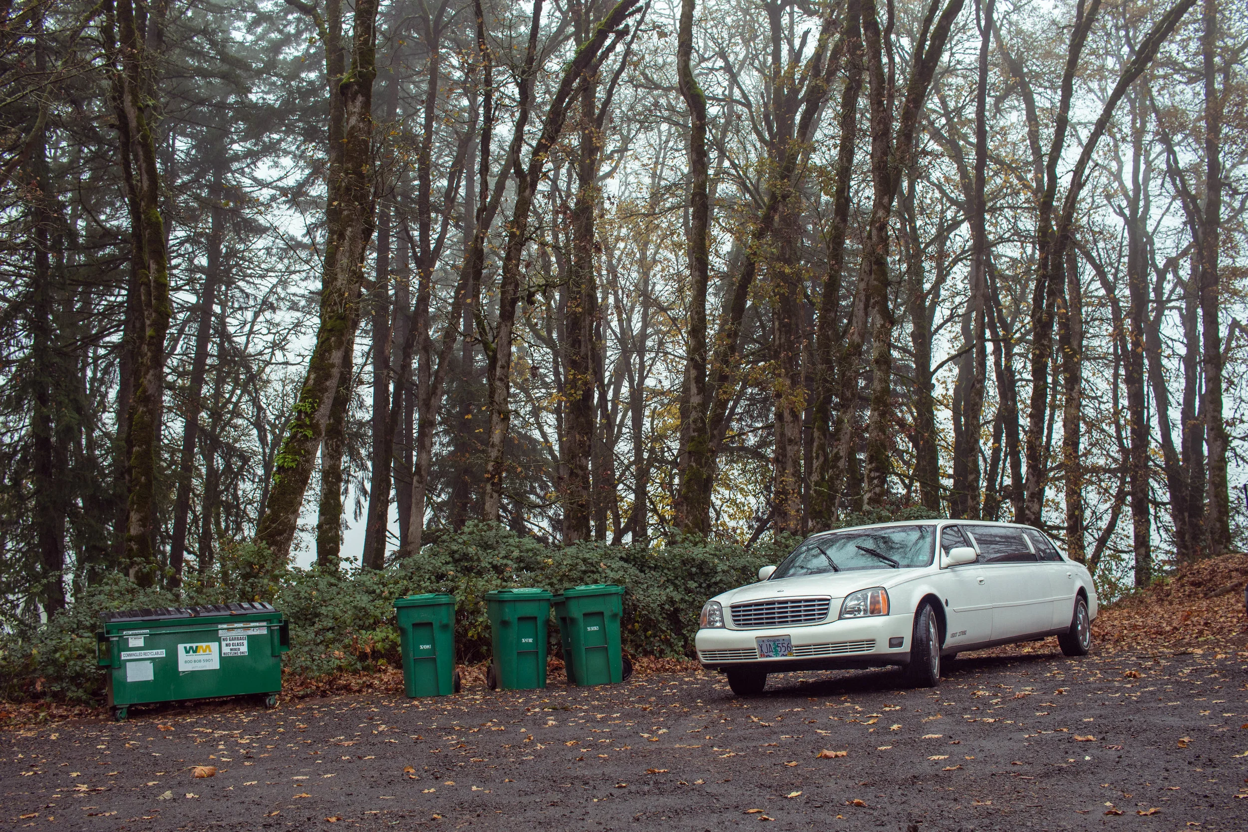  2016 / Portland, OR  [digital] 