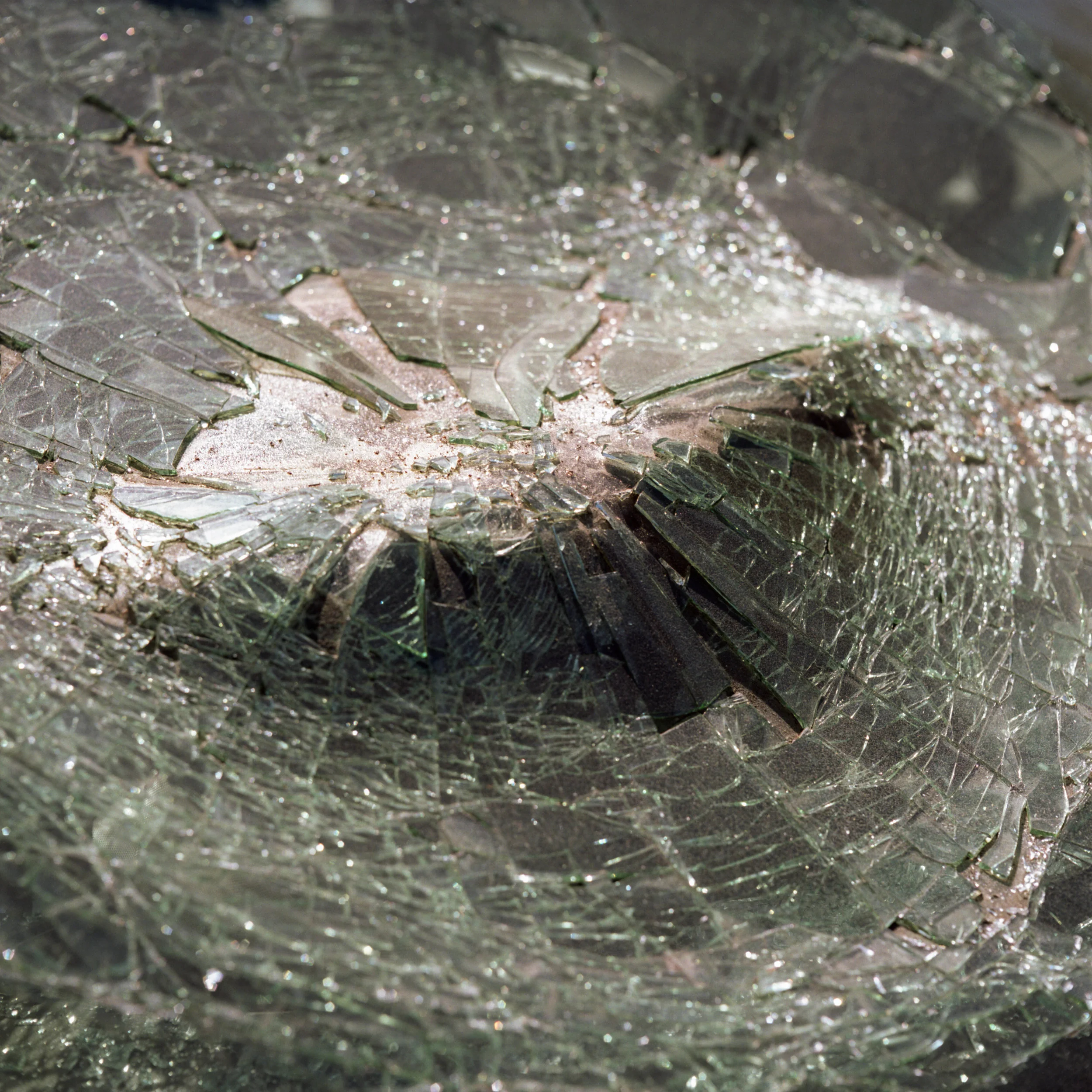  2017 / Portland, OR  [analog - 120] 