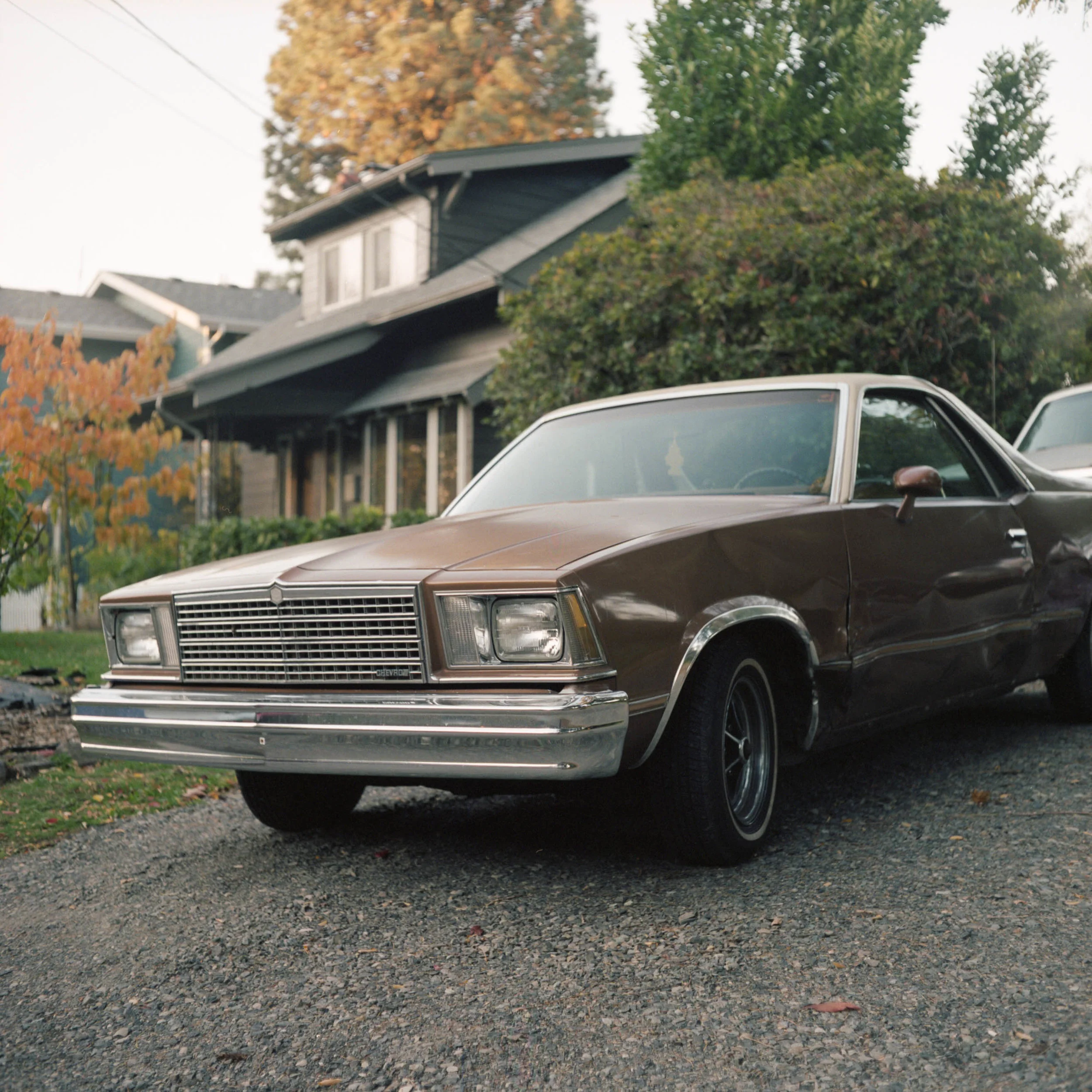  2017 / Portland, OR  [analog - 120] 
