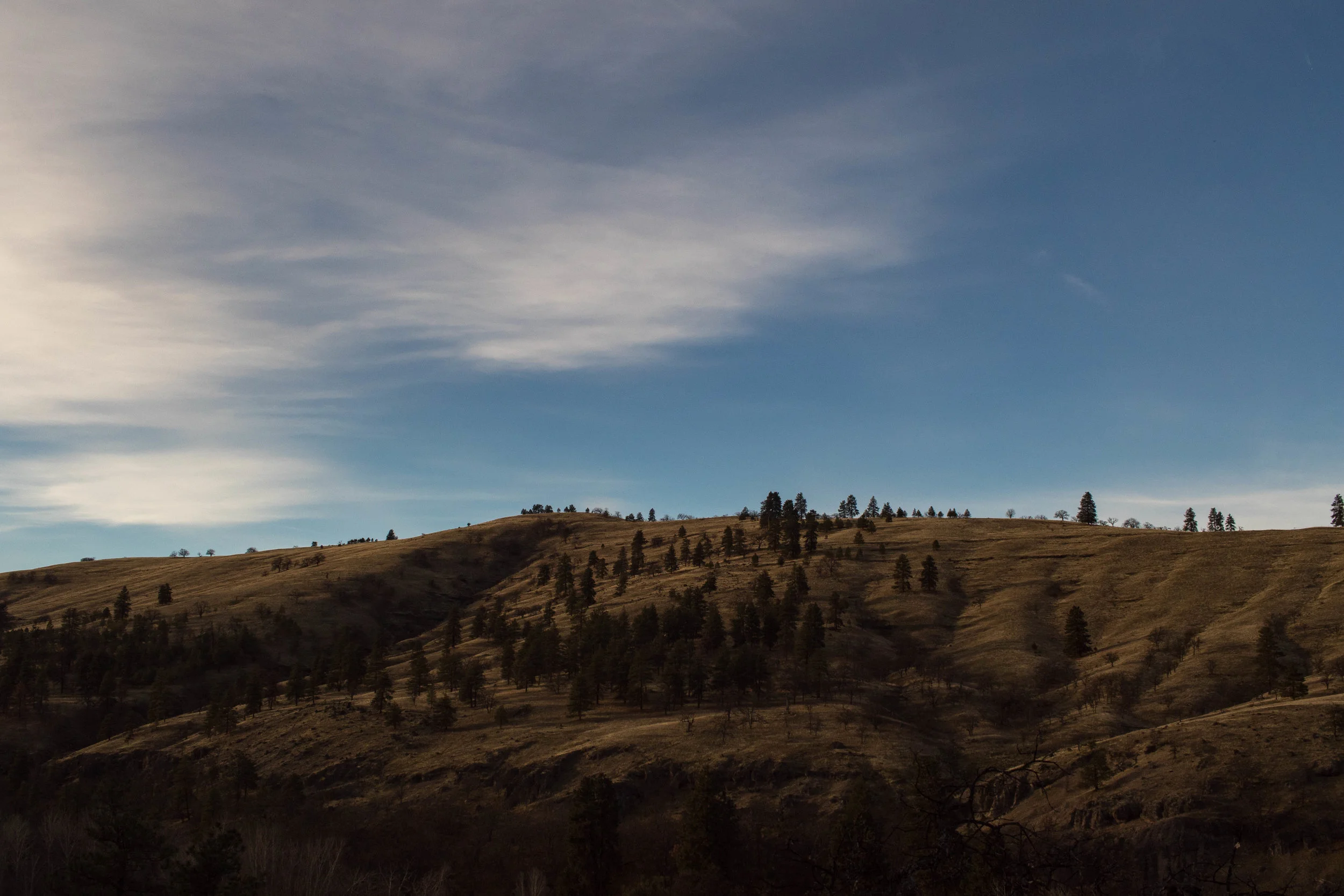  2018 / Dufur, OR  [digital] 