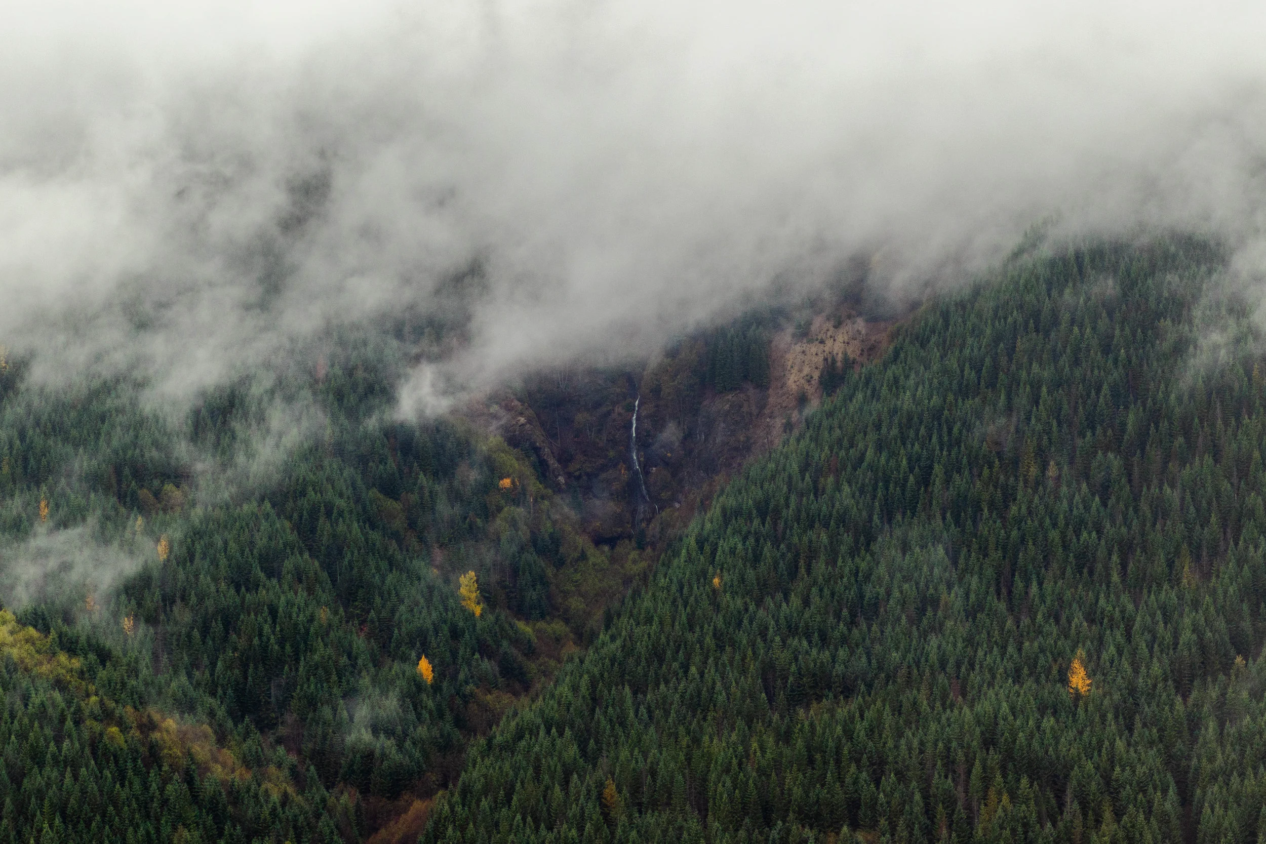  2018 / Mount St. Helens, WA  [digital] 