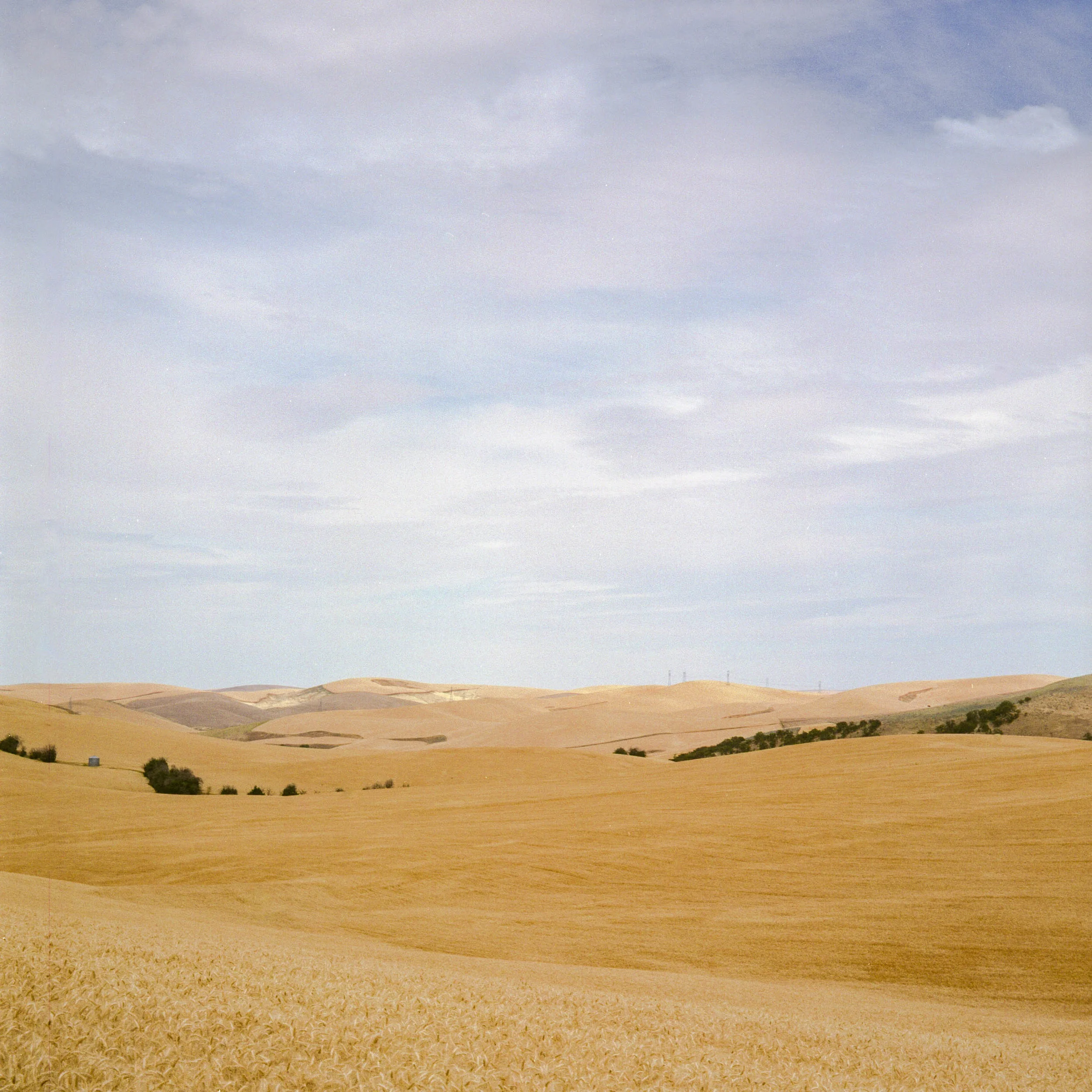  2018 / Dufur, OR  [analog - 120] 