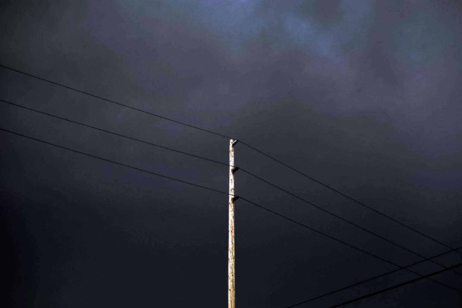  2018 / Portland, OR  [analog - 35mm] 