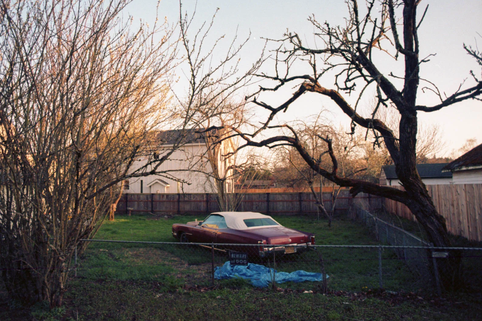  2018 / Portland, OR  [analog - 35mm] 