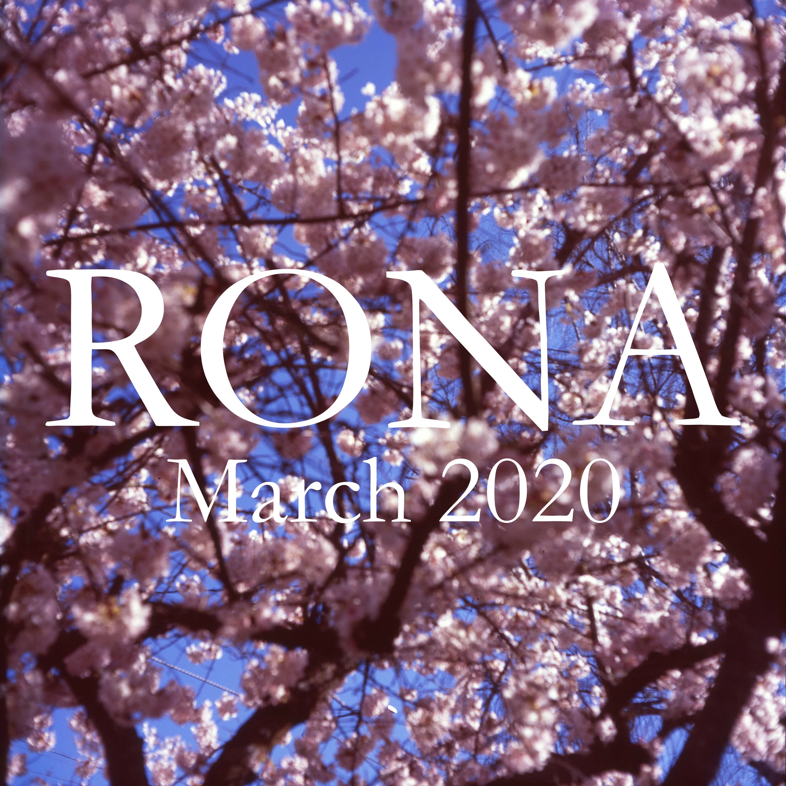 RONA-MARCH.jpg