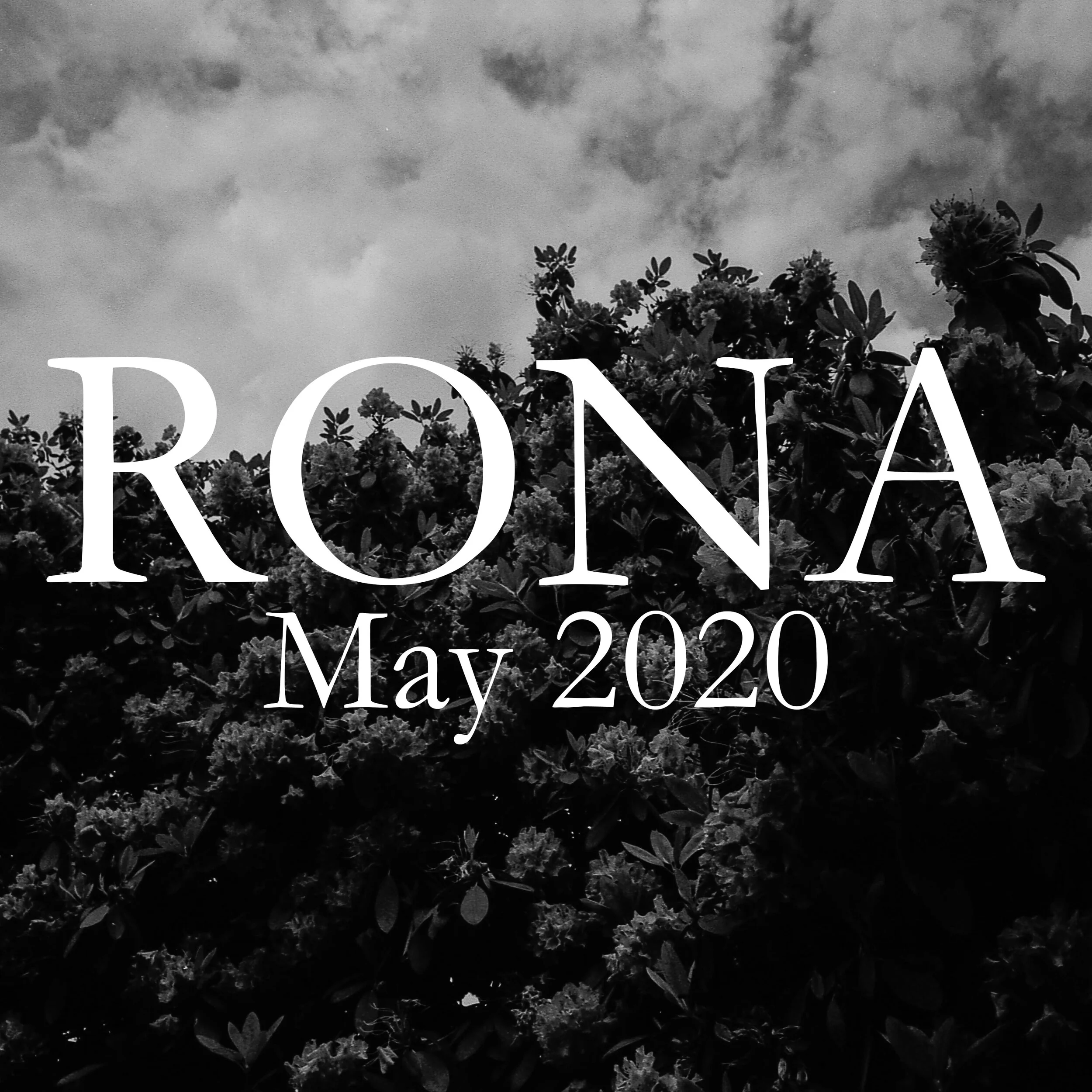 RONA-MAY.jpg