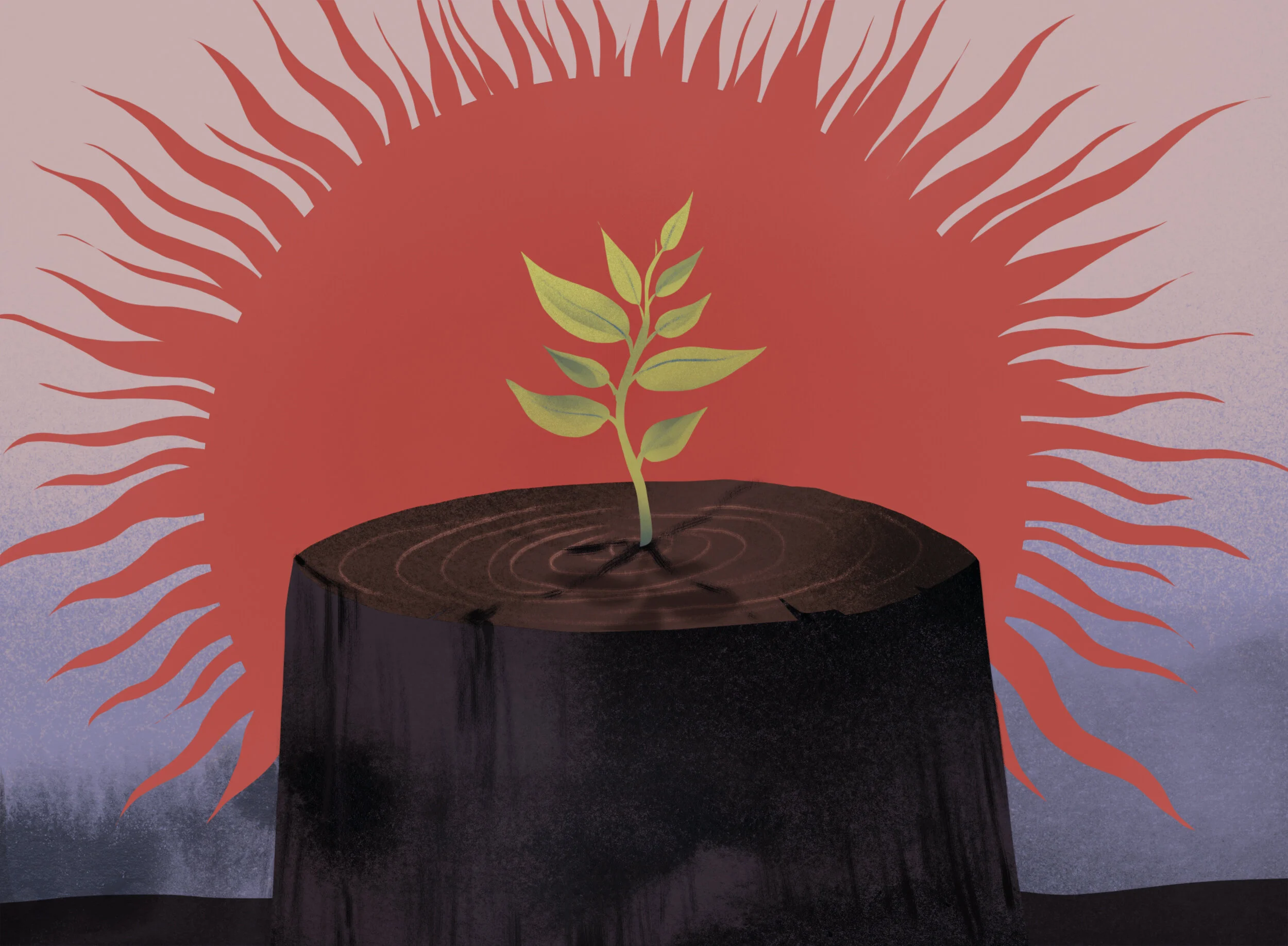 deforestationfinal.jpg