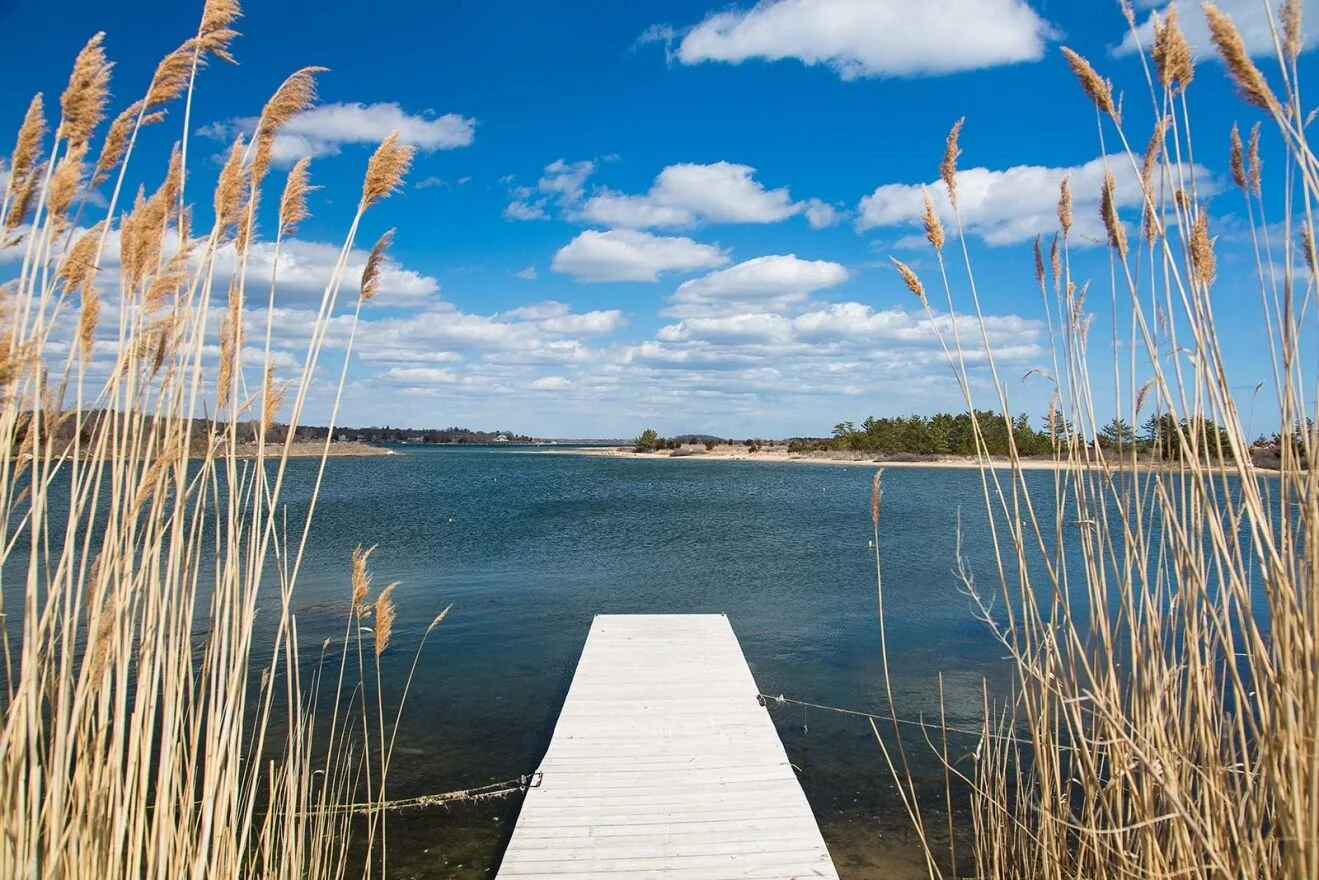 weekapaug inn environ.jpeg