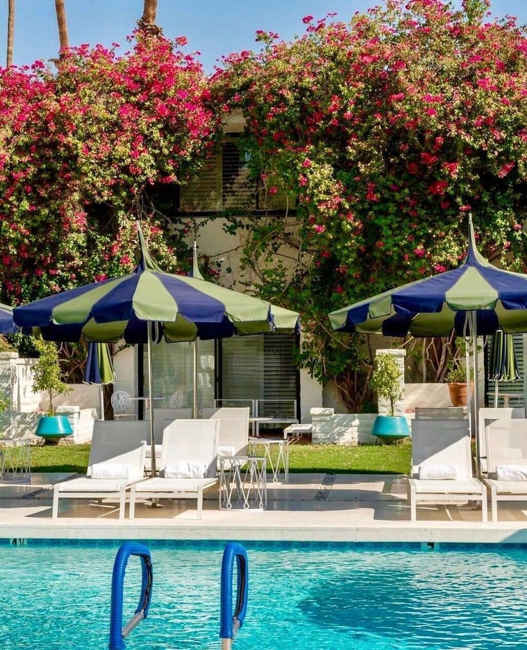 We're dreaming of warmer temps by the @parkerpalmsprings pool...The hotel embodies the quintessential palm springs vibe with its mid-century modern design (with interiors by @jonathanadler), bright colors, and swaying palm trees. Who's ready for a lo