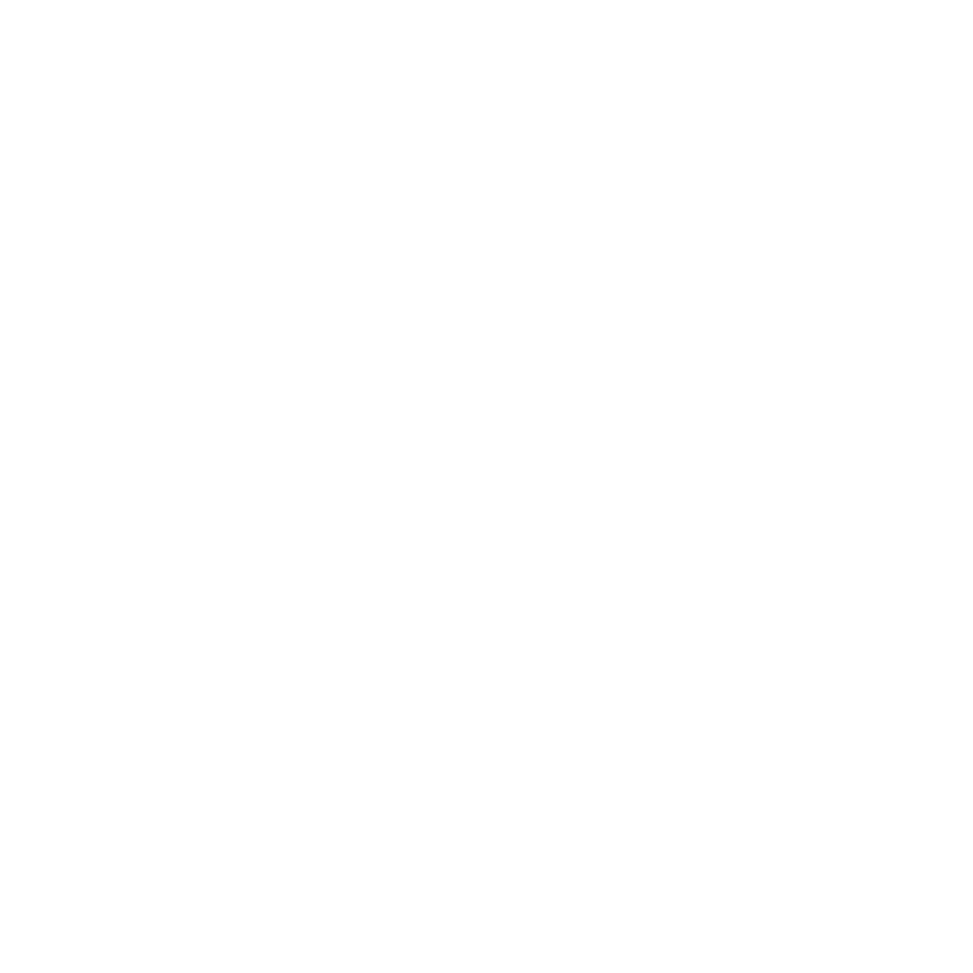 Solidarity Partners