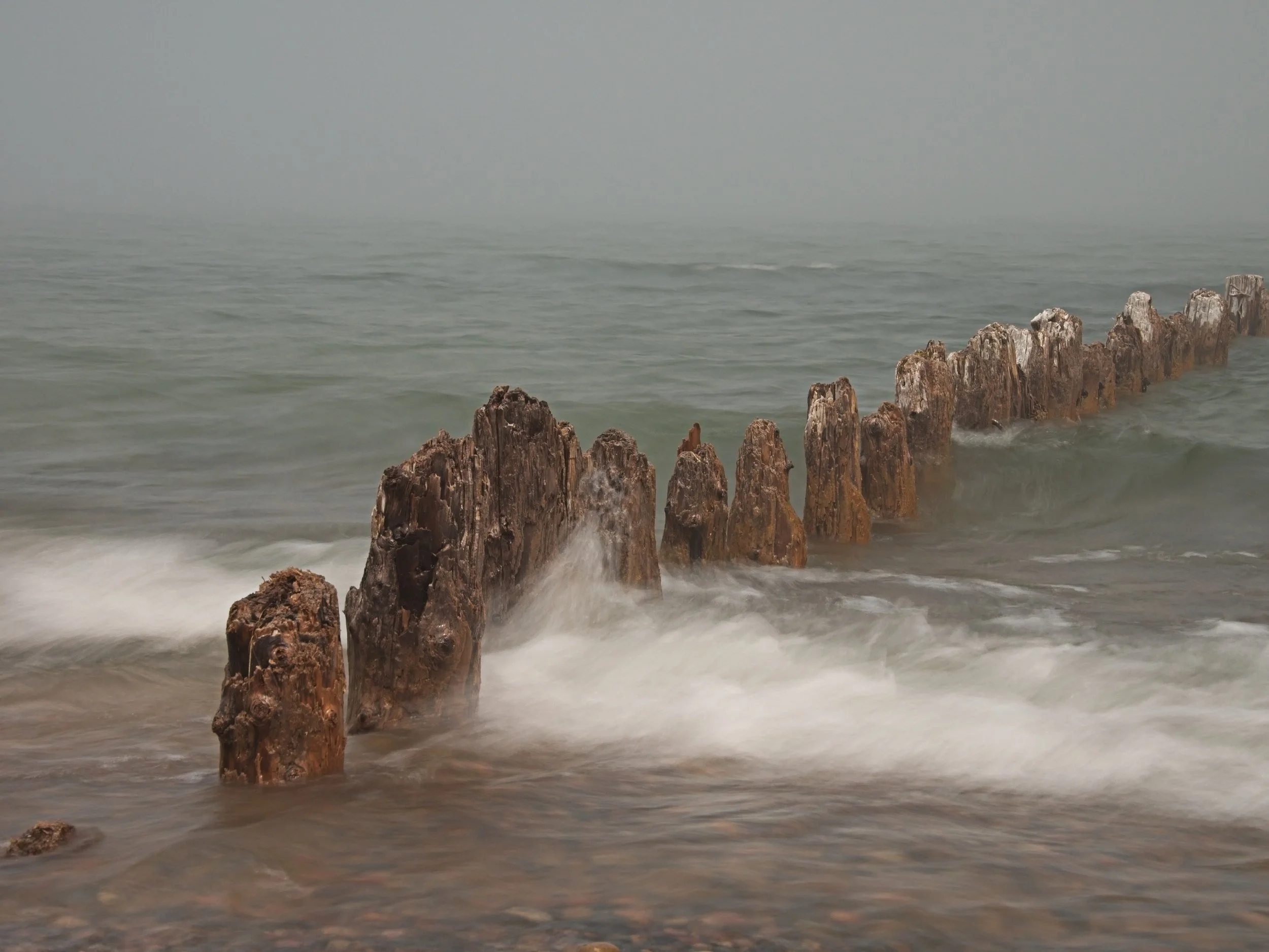 As shot, straight from the camera. There seems to be very little color shift!