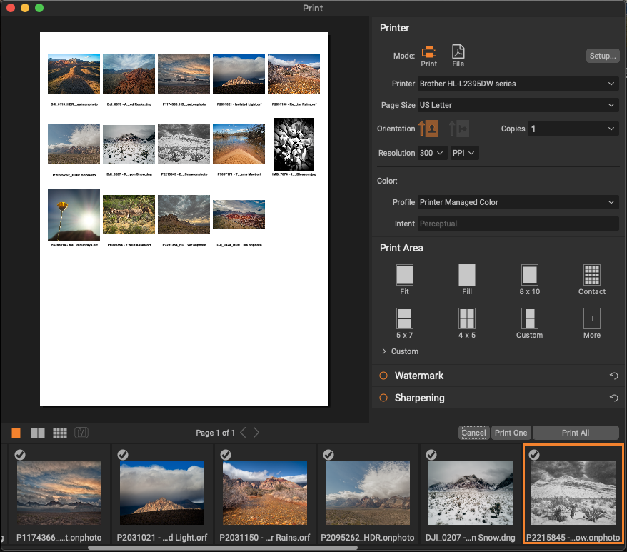 The new Print Module showing quick, one-click creation of contact sheets
