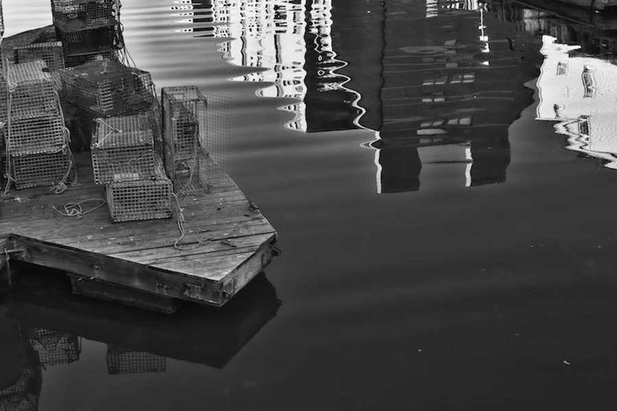 Portland Reflections 2.jpg