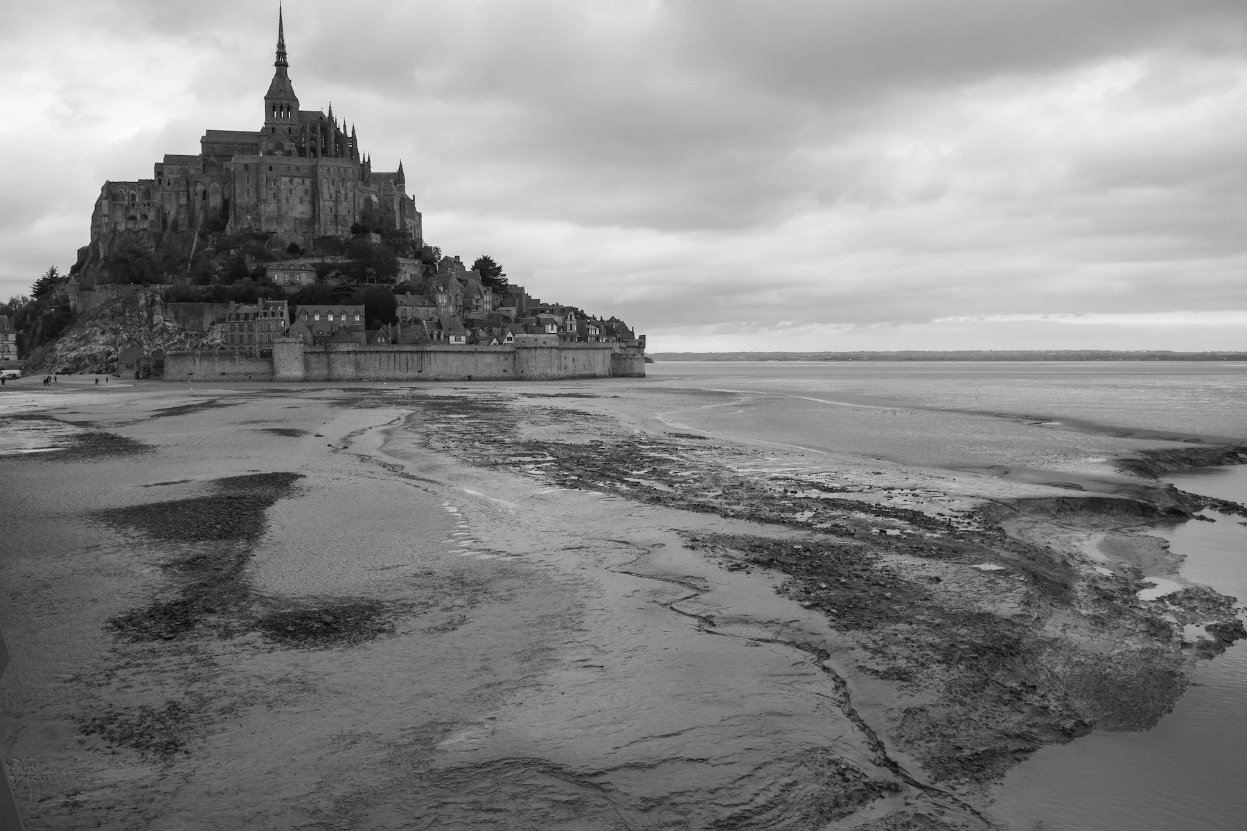 DSCF6490.jpg