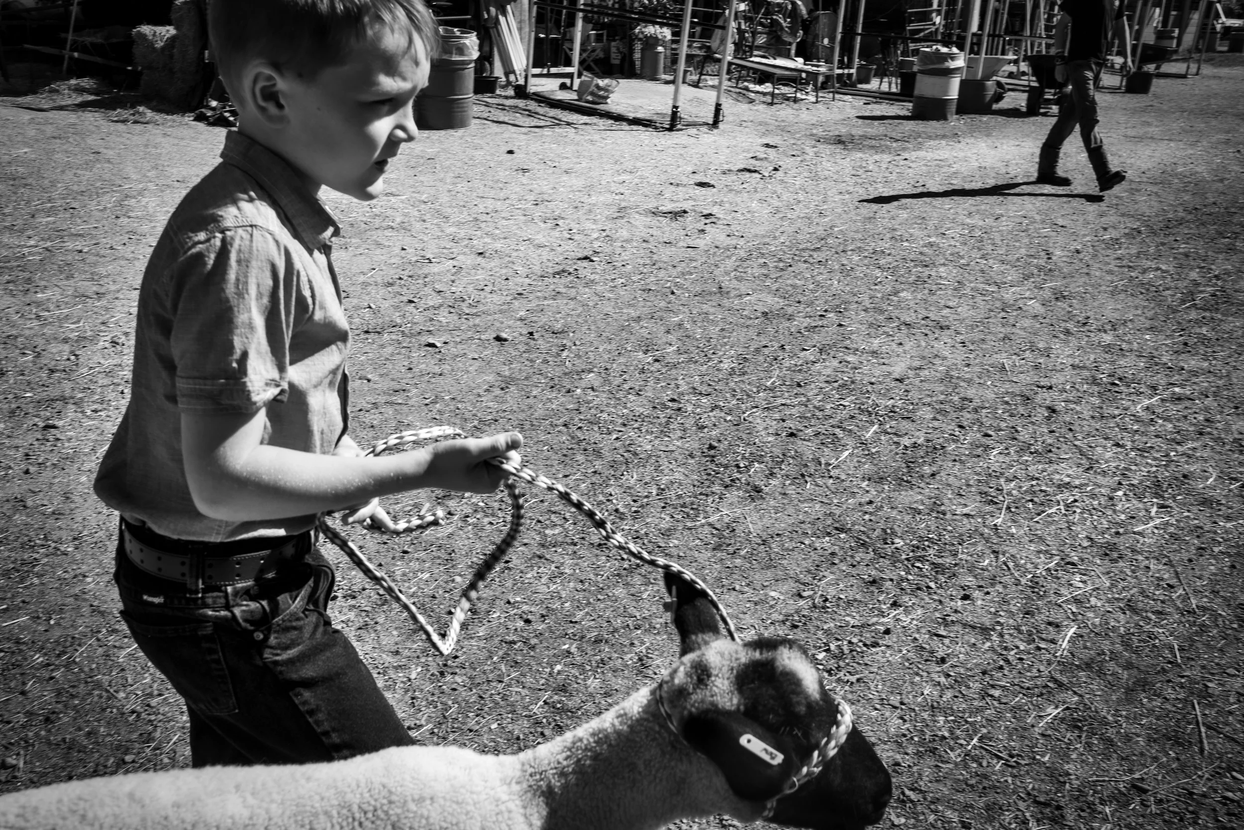 On the Lead01 copy.jpg