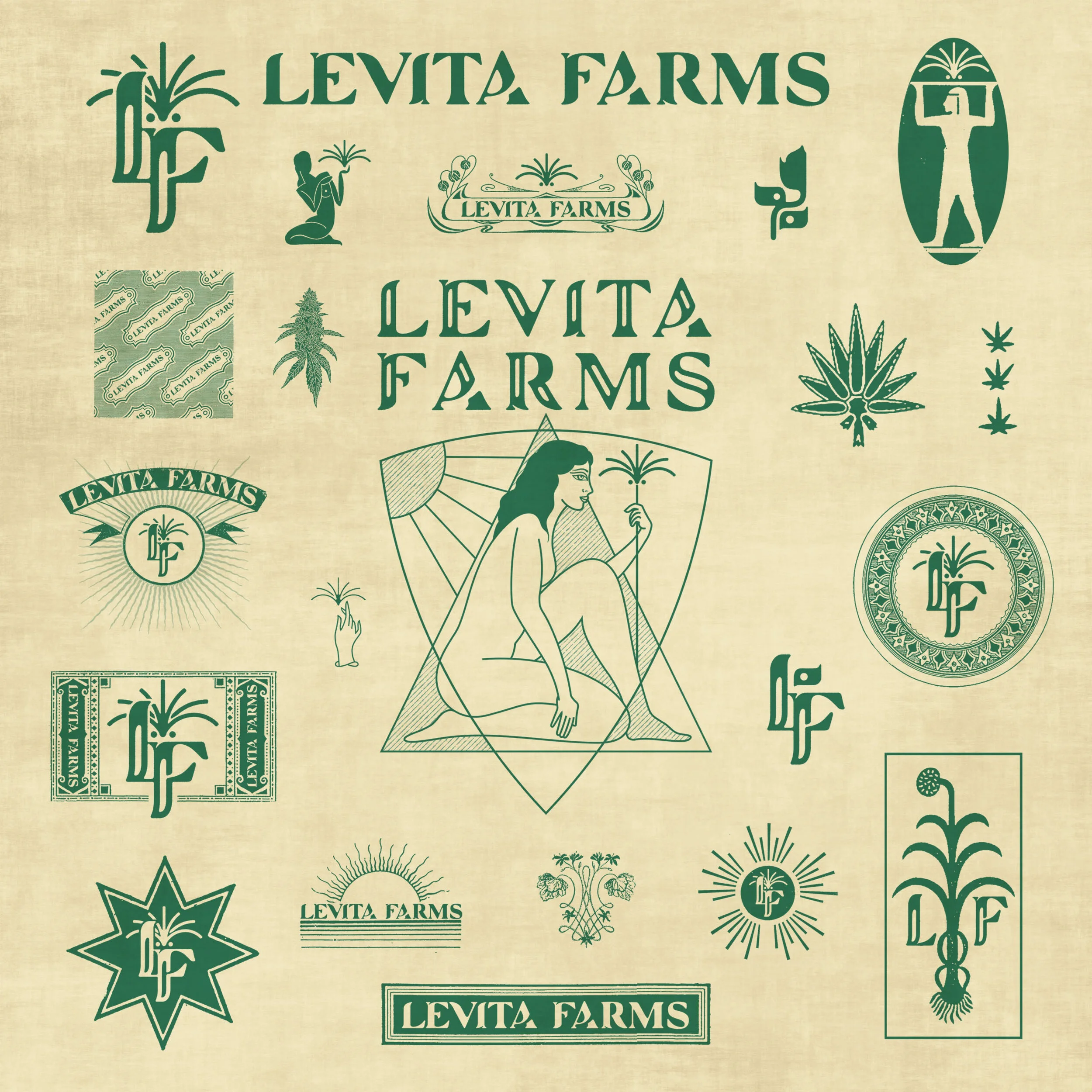 LF-Branding Direction.jpg