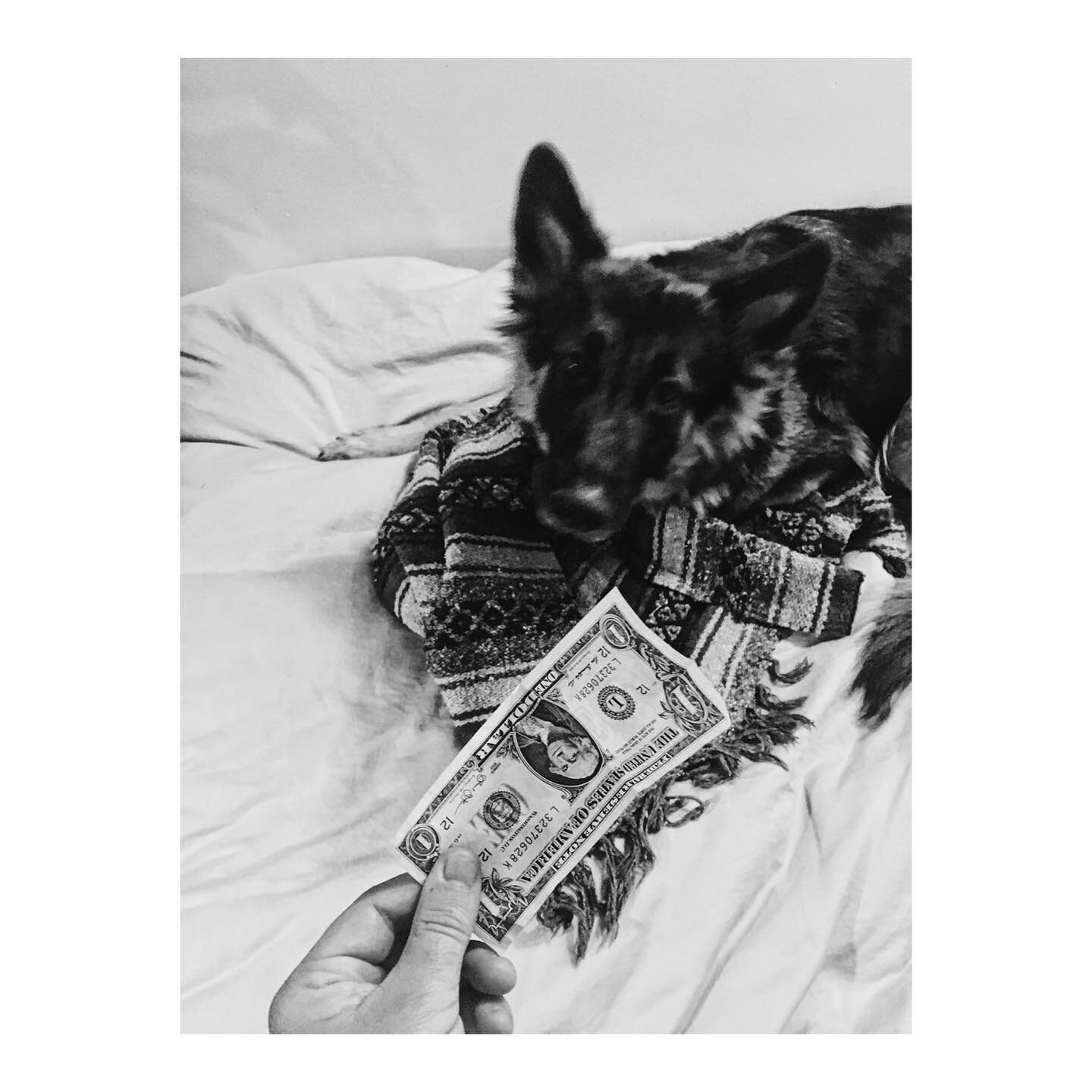 DOG$ - An ongoing photo series by JL 

Currently seeking new models 🐾