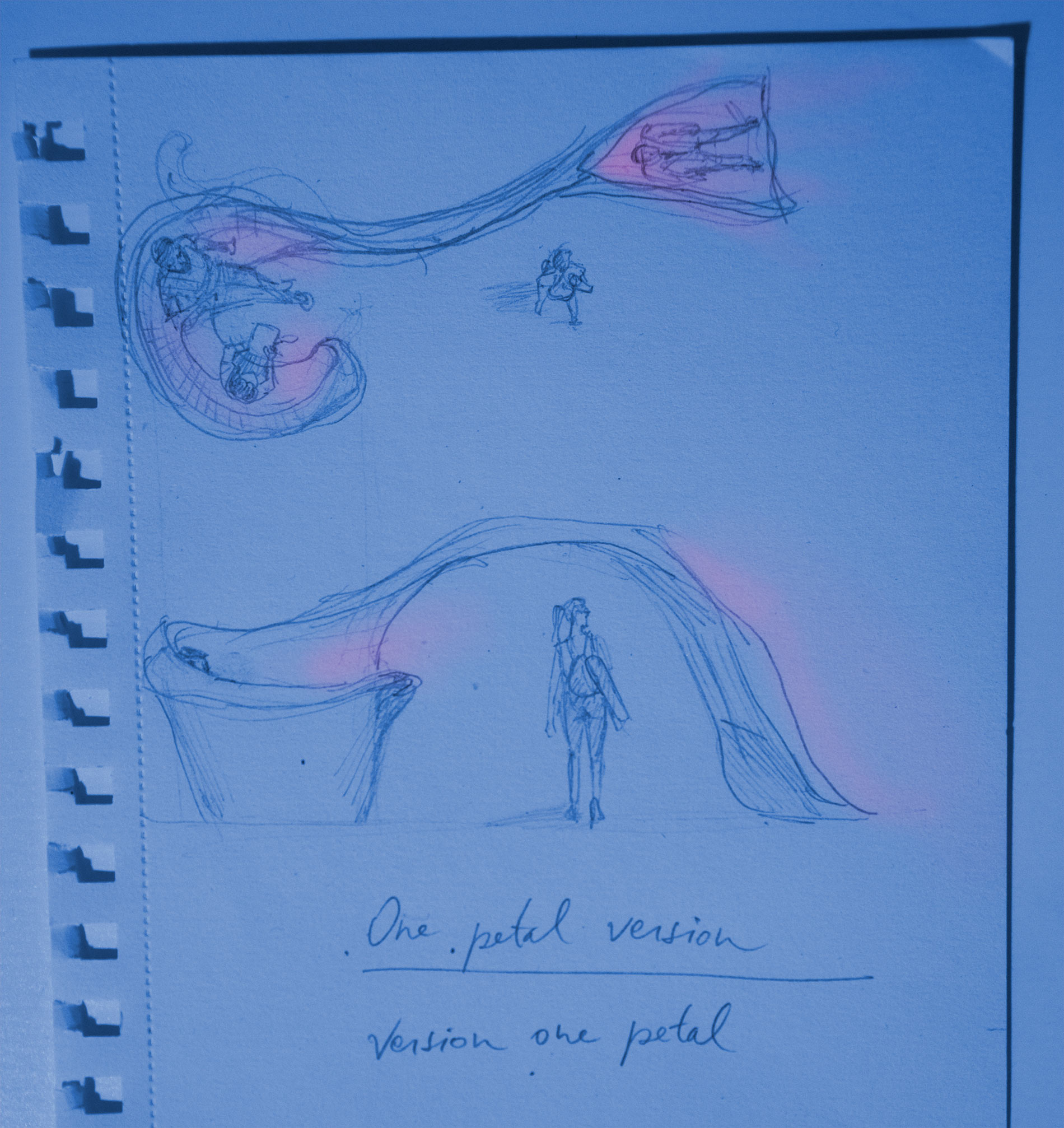 image5.jpg