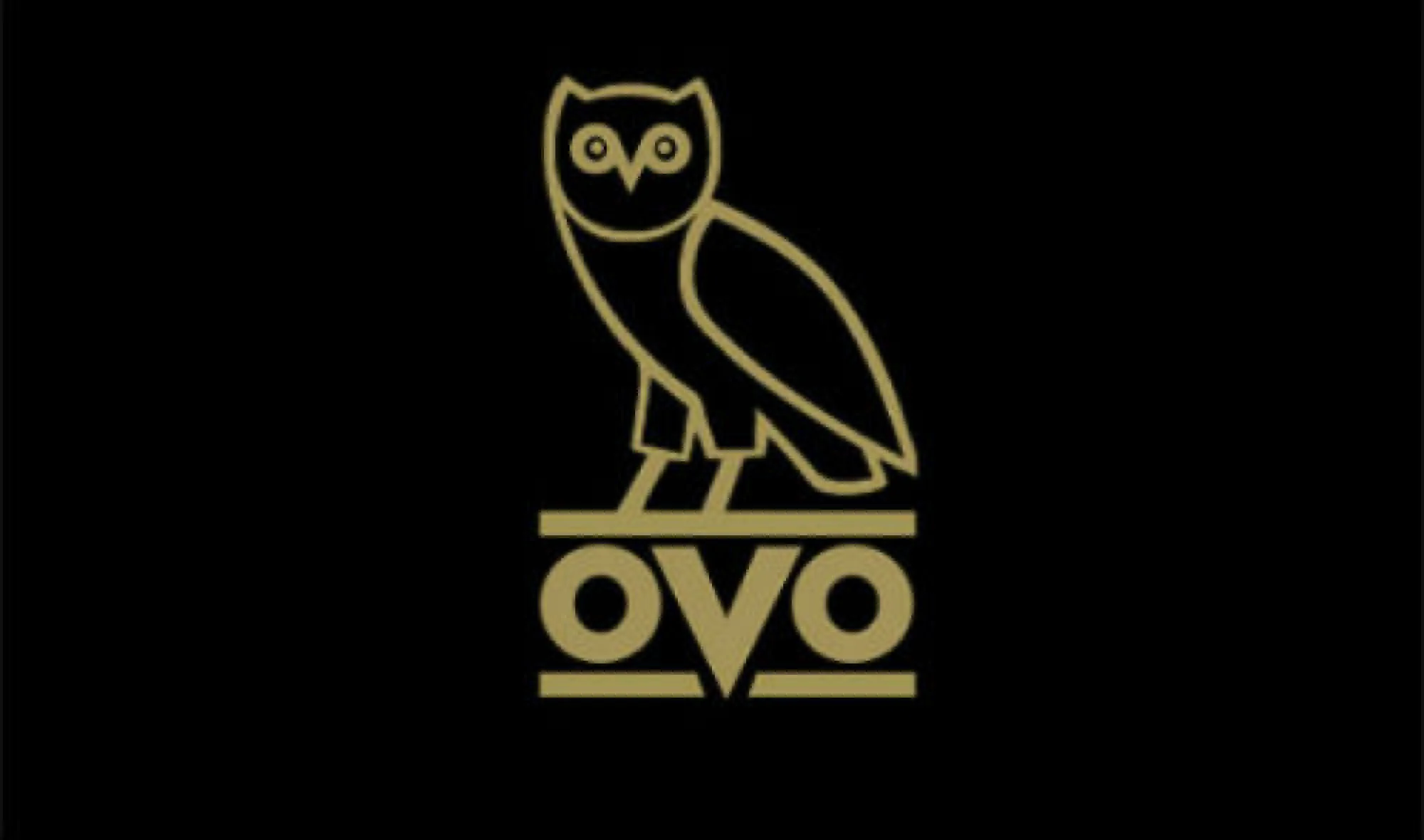 ovo bot.jpg