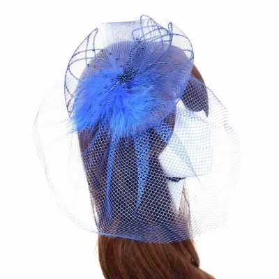 Blue Birdcage Veil
