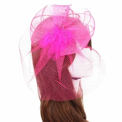 Pink Birdcage Veil