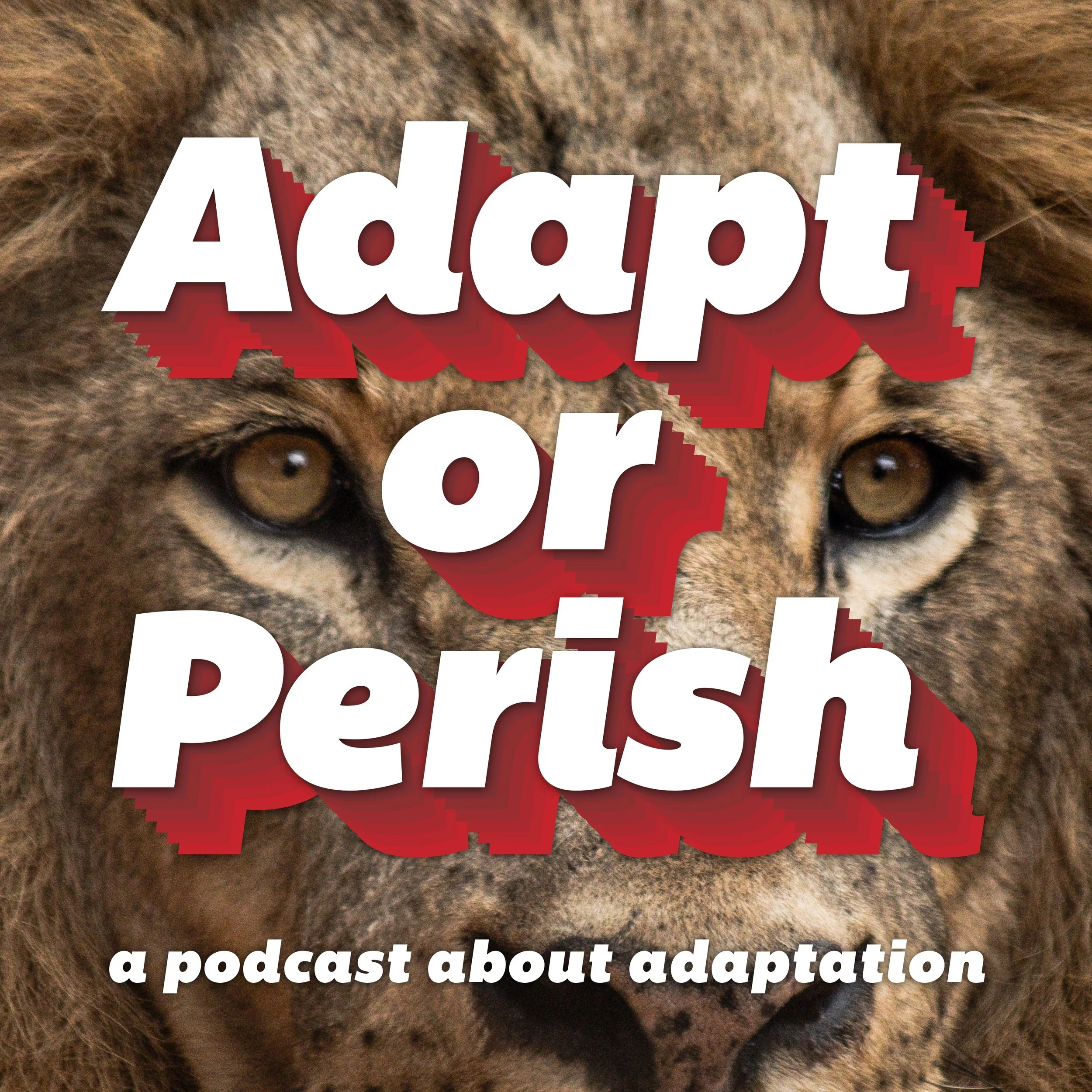 adaptcast_33_the_lion_the_witch_and_the_wardrobe_high.jpg