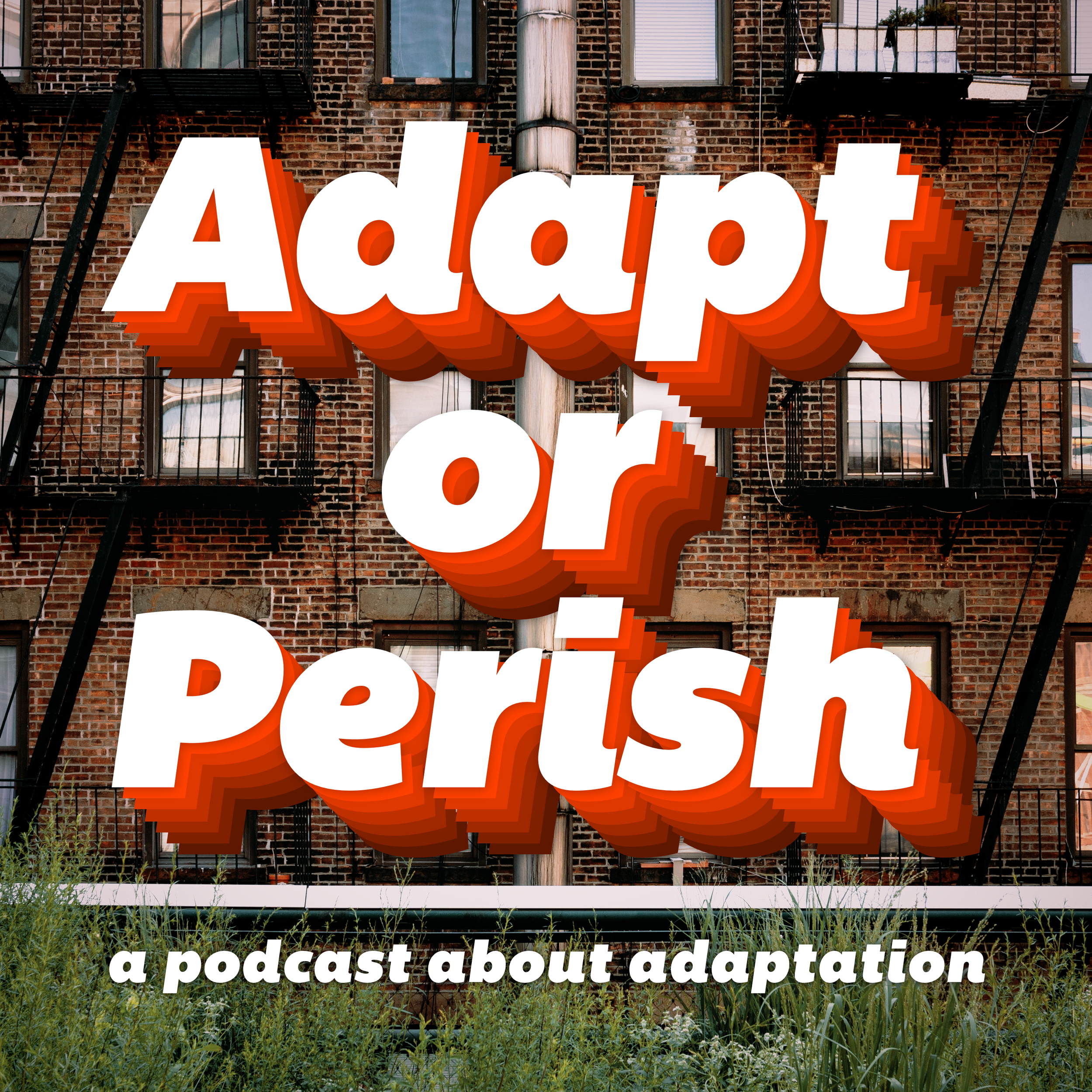 adaptcast_115_rear_window_high.png