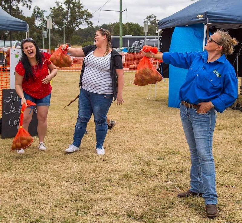 Avo Games