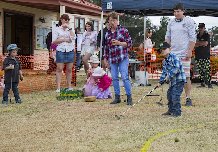 AVOCADO PUTT PUTT.jpg