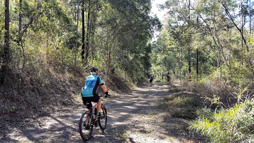 BVRT-Blackbutt-to-Linville-rolling-down-through-the-Benarkin-State-Forest.jpg