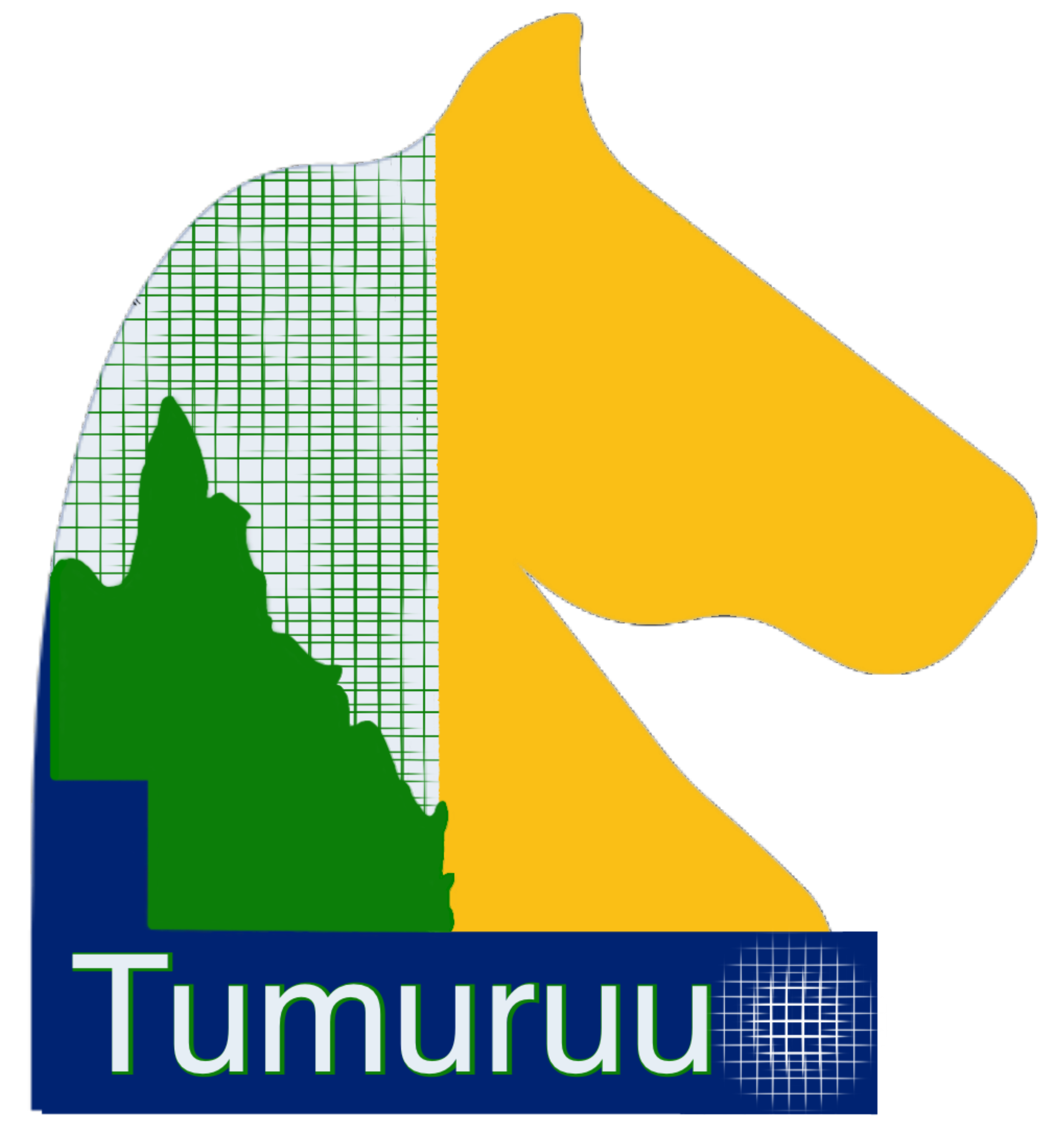 Tumuruu Logo Current.jpeg