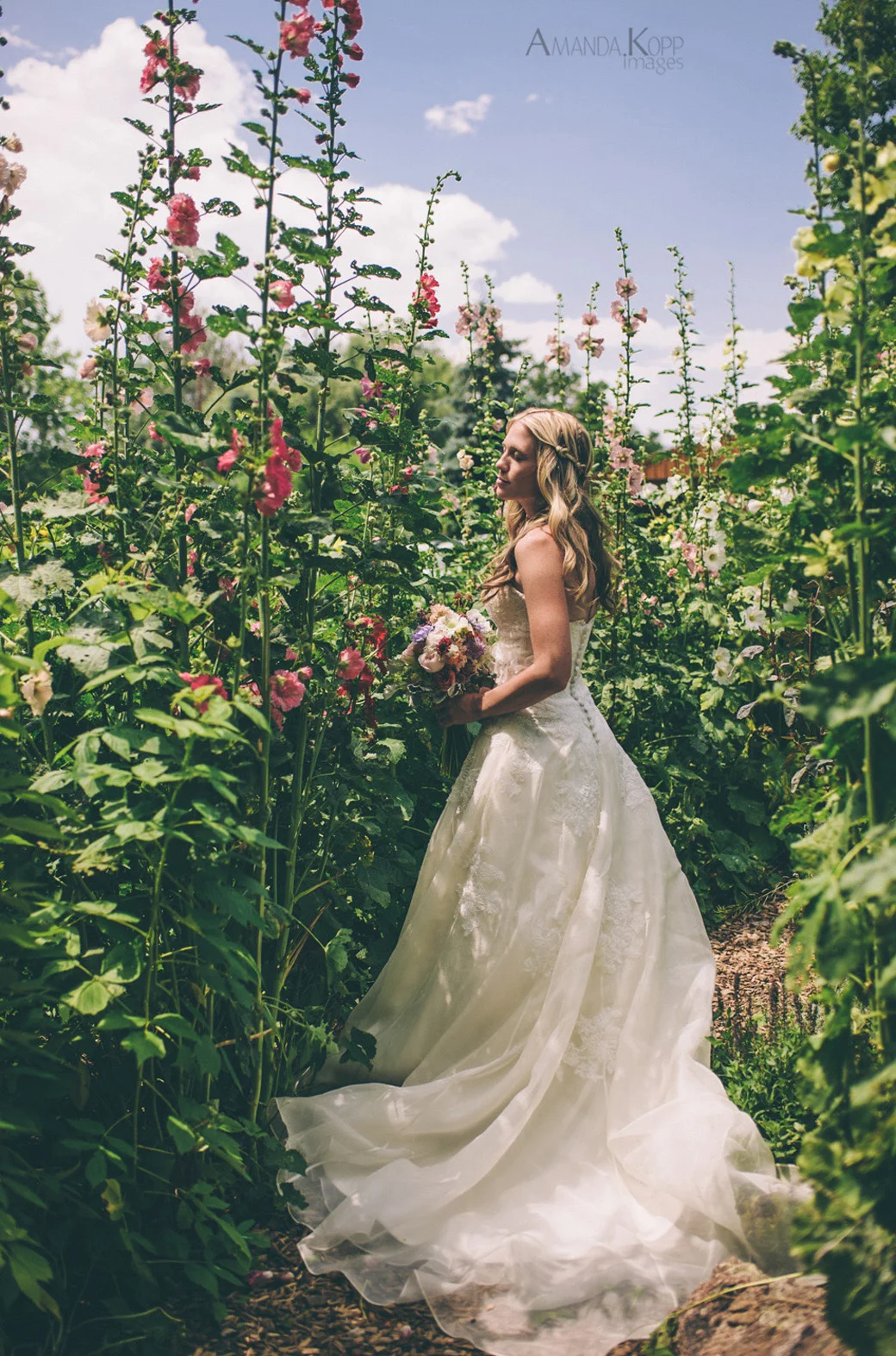 AmandaKoppImages-19_sm.jpg