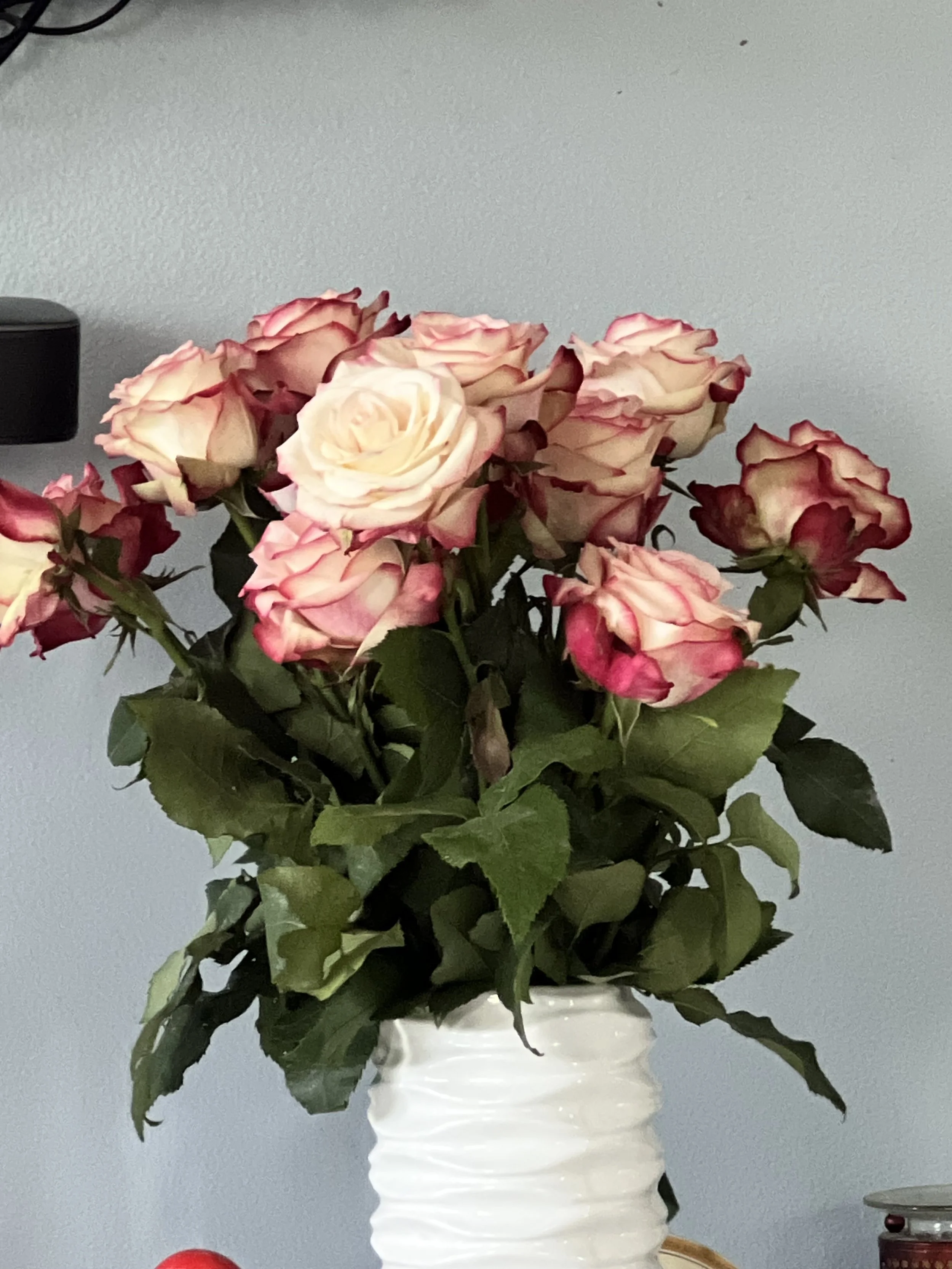 Walk-in Coolers for Flower business