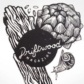 driftwood-thumbnail.jpg