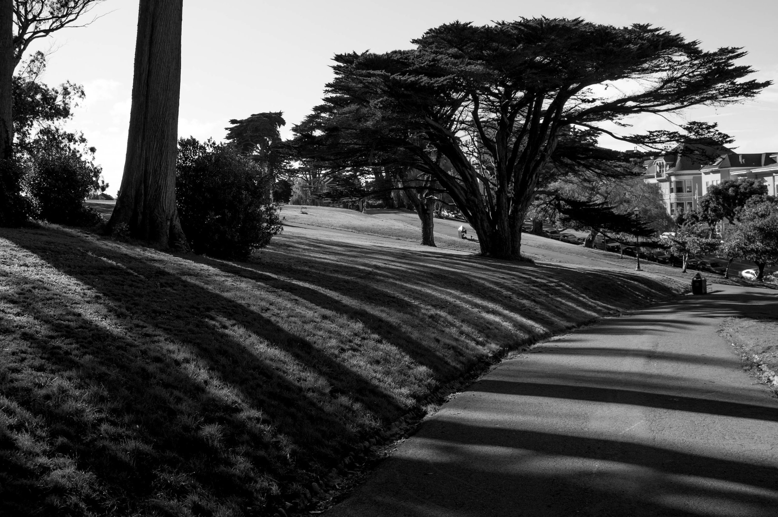 2012-10-10 17.15.20.jpg