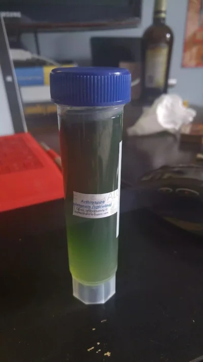 Spirulina sample sent from AlgaeLab