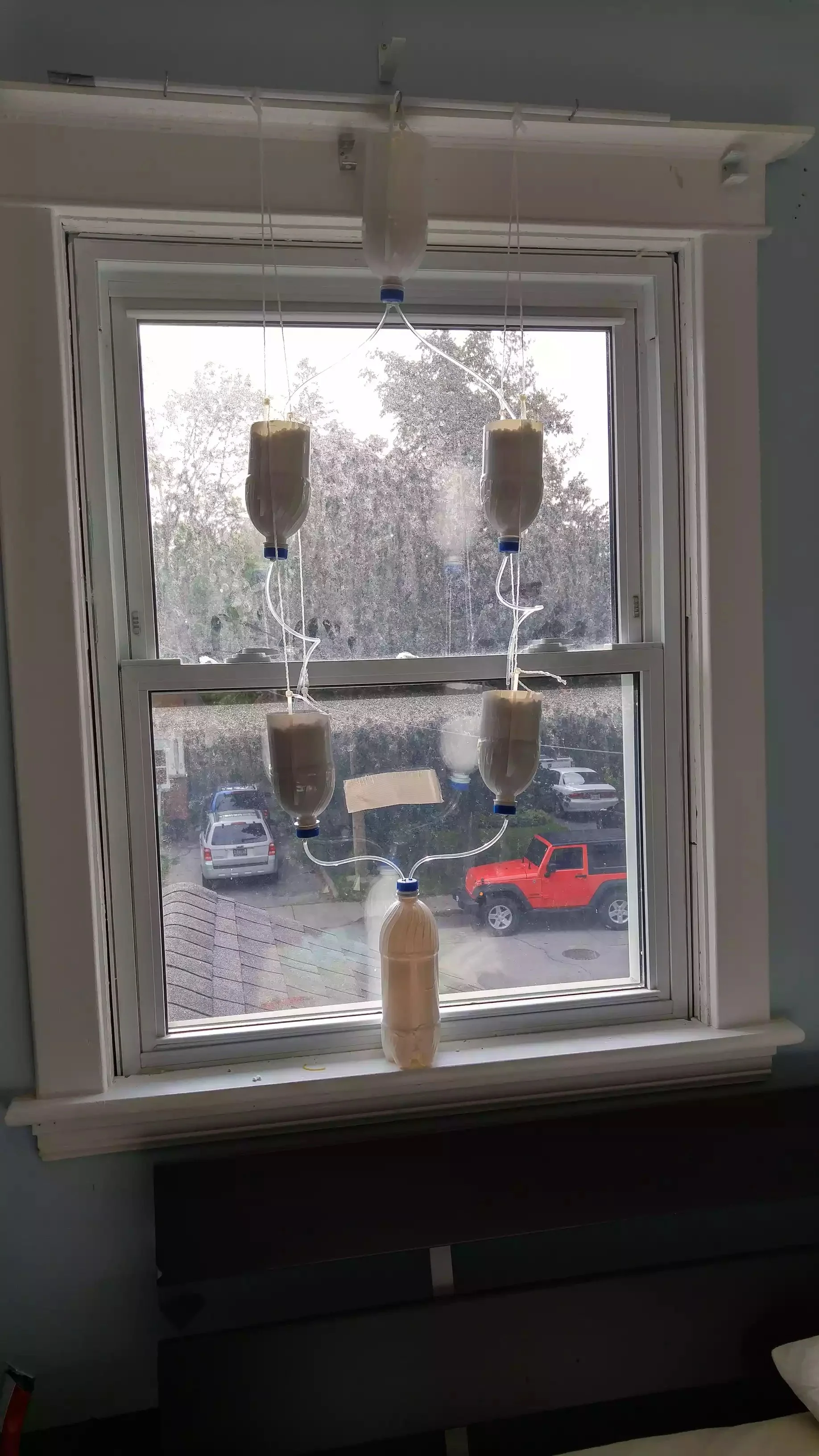 Automatic Hydroponic Window Garden