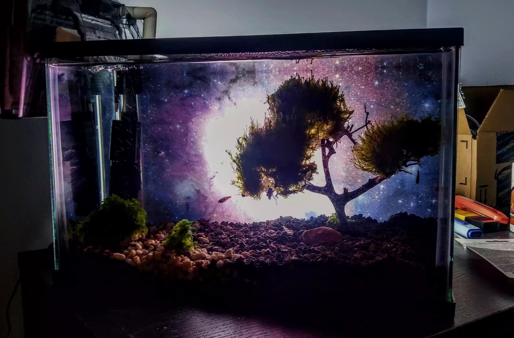 Moss Bonsai Tree Aquarium 