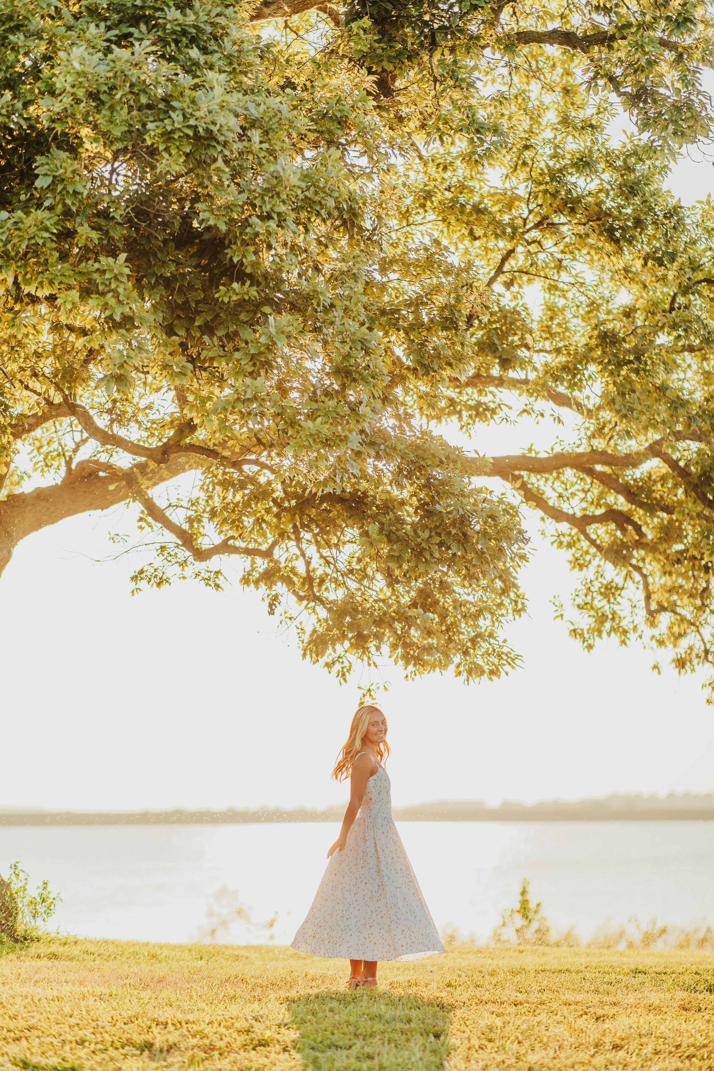 Piper-Lessredtree-final.jpg